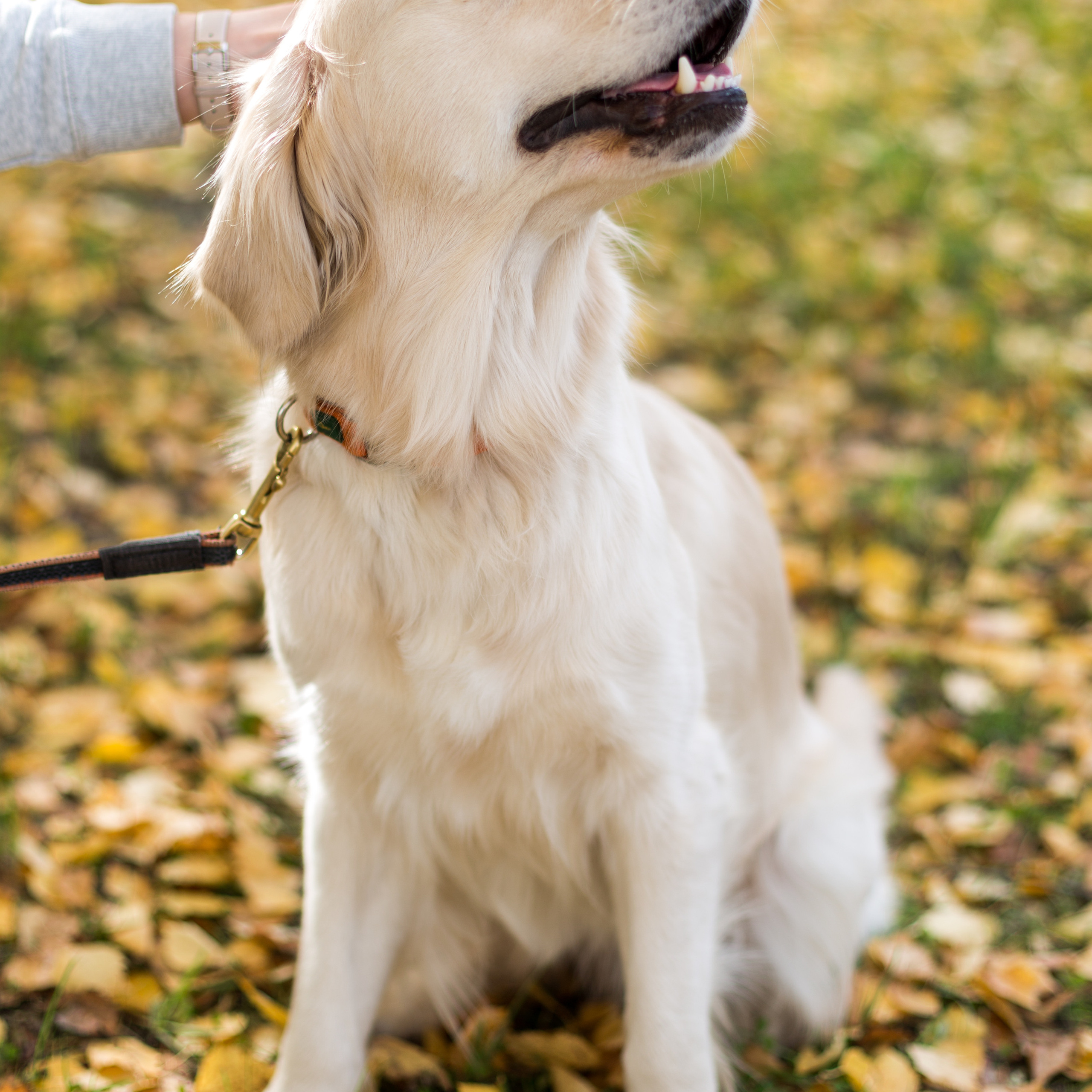 Нора и ее семья: Эвелина, Яна, Альберт. Фотограф Оксана Салимова