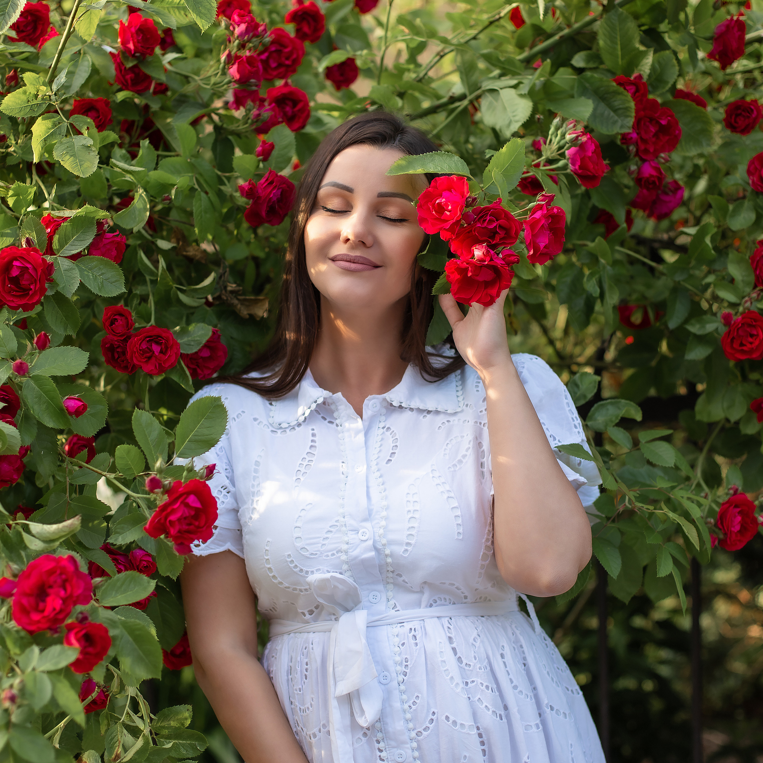 Алина. Розы