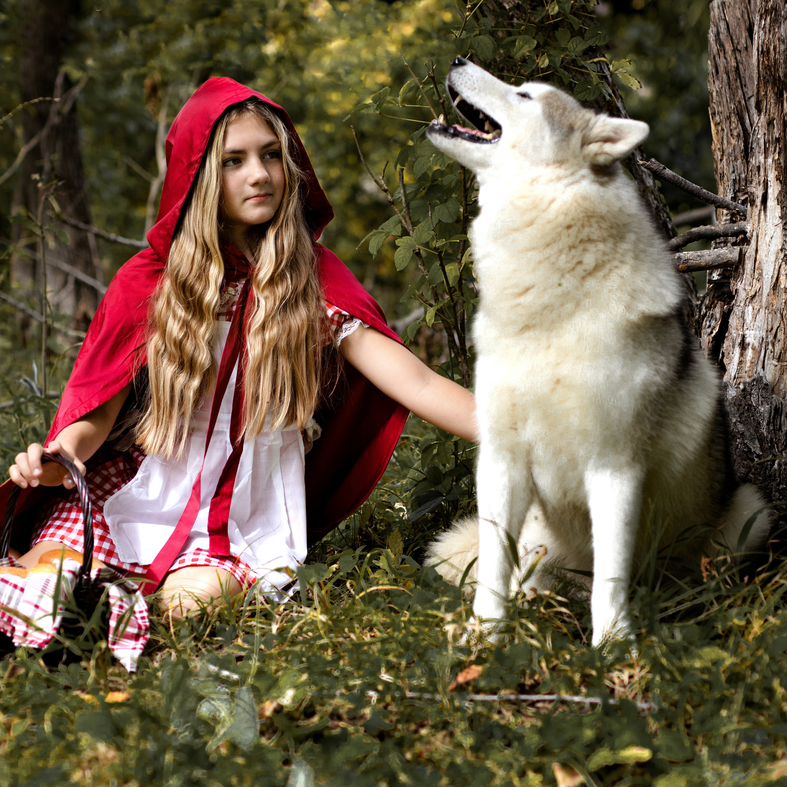 Алиса — «Красная Шапочка»