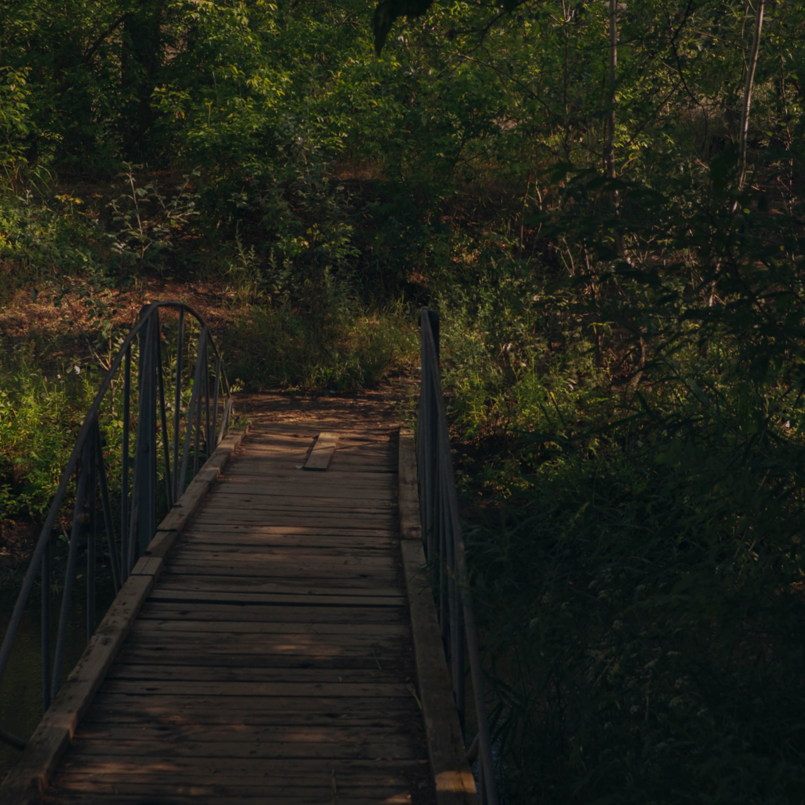 Отзывы. Семейный и свадебный фотограф в Волгограде Валентина Фогель