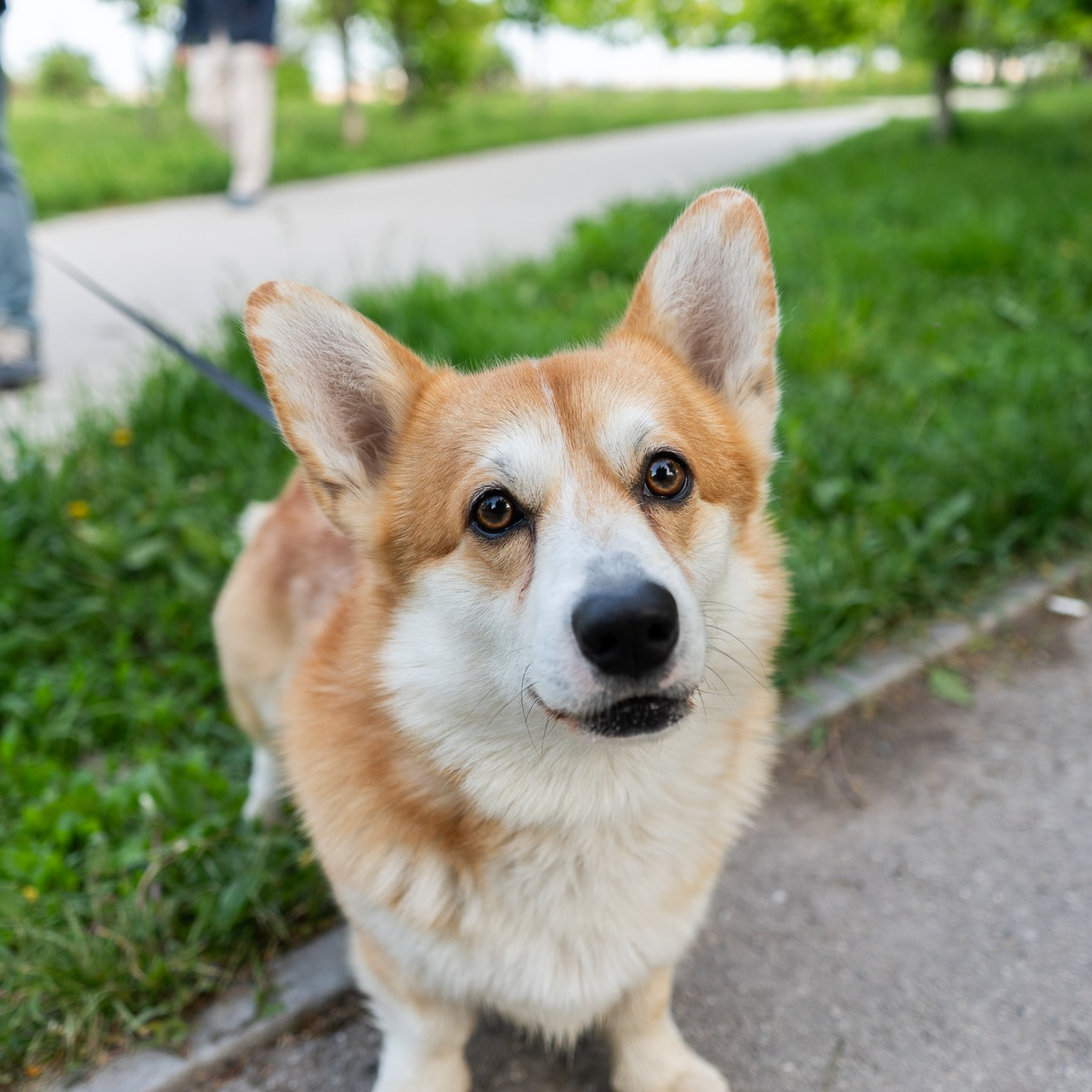 Вот первые кадры. Design by — фото, обучение, портфолио. Фотограф Рязань