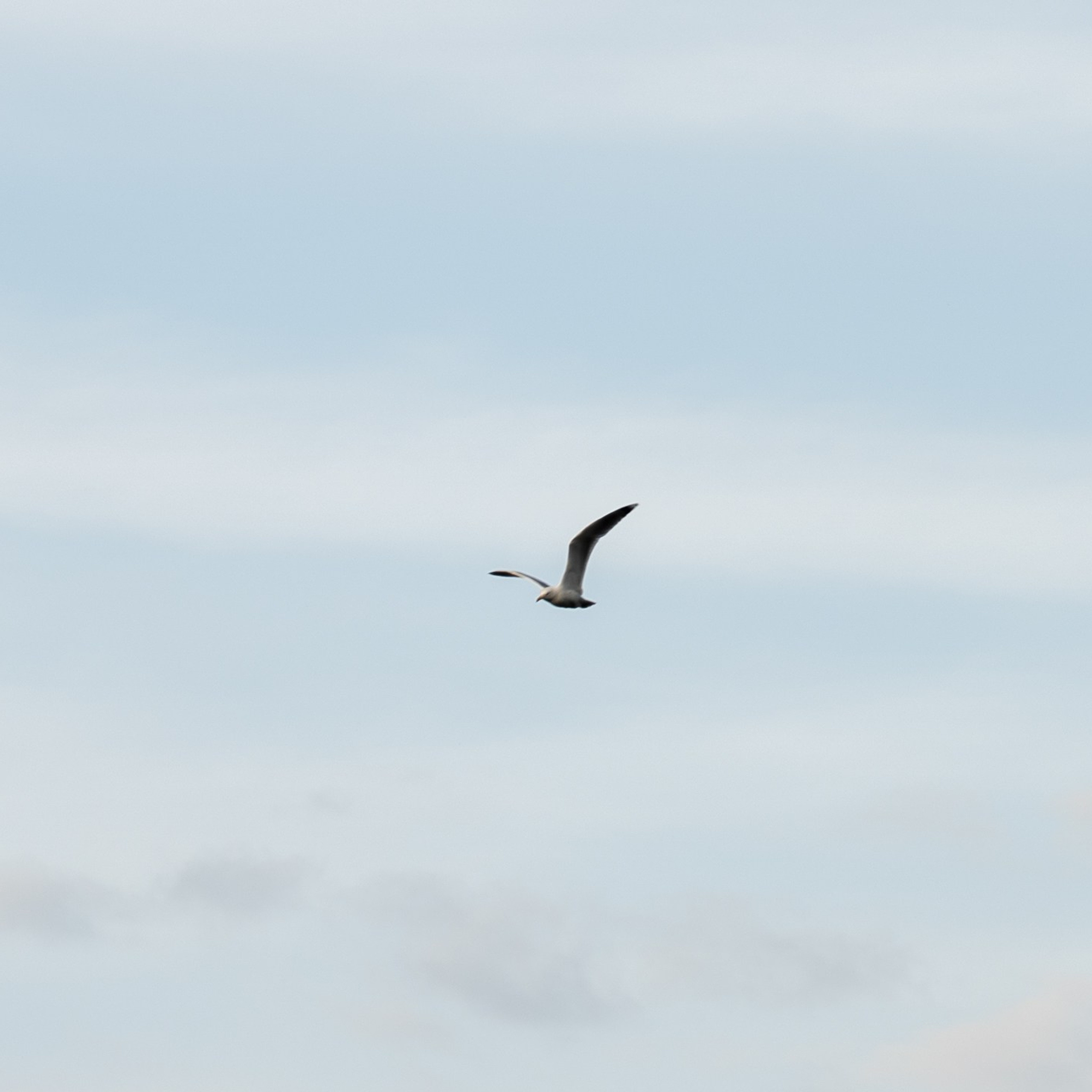 Вот первые кадры. Design by — фото, обучение, портфолио. Фотограф Рязань