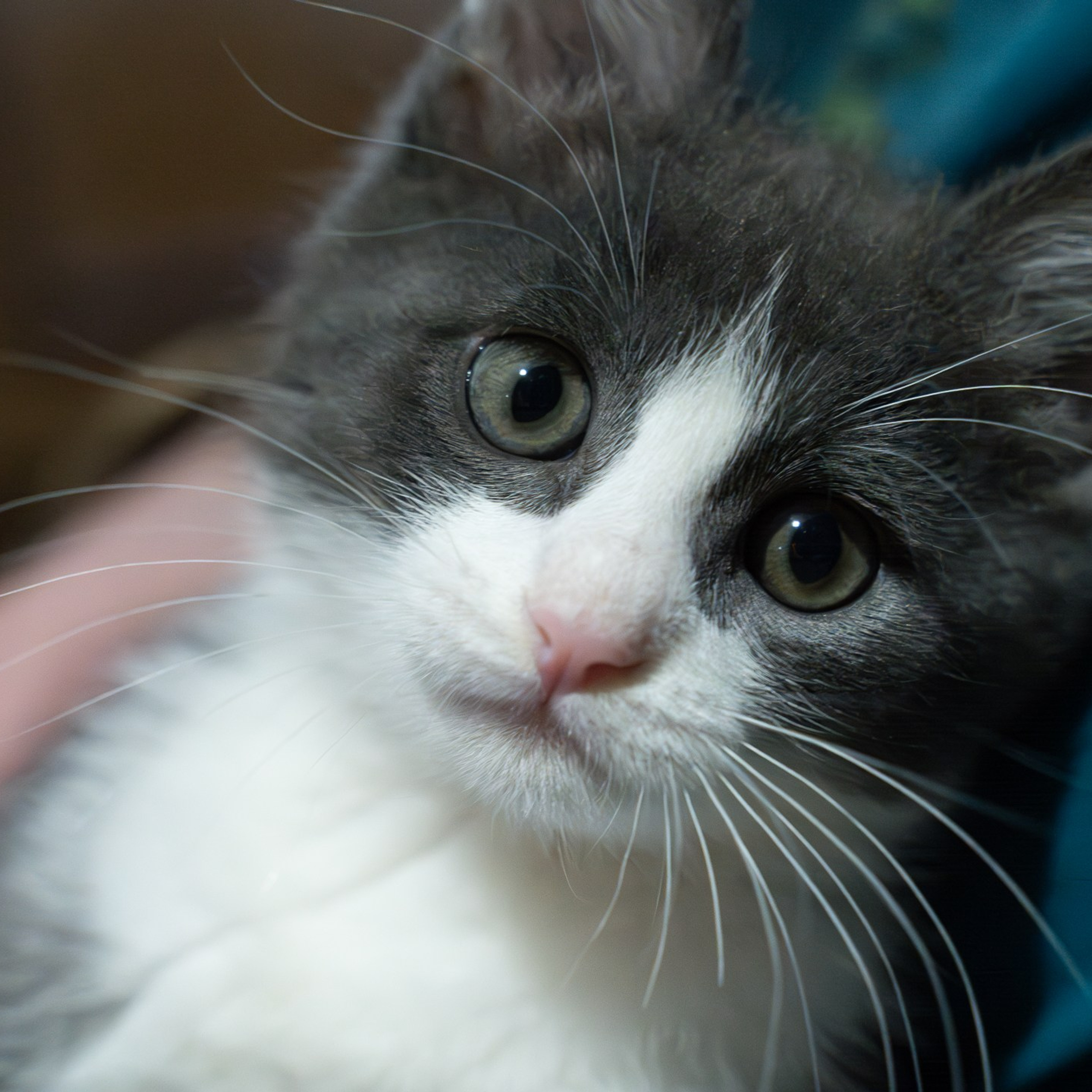 Вот первые кадры. Design by — фото, обучение, портфолио. Фотограф Рязань