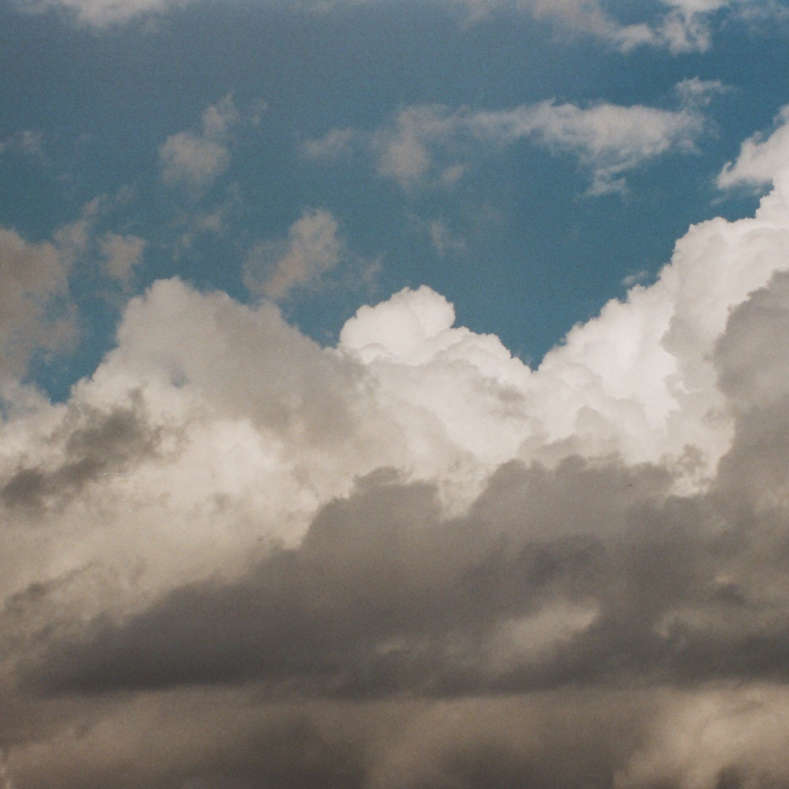 On film. Женя Красовская | Фотограф | Визуал для брендов