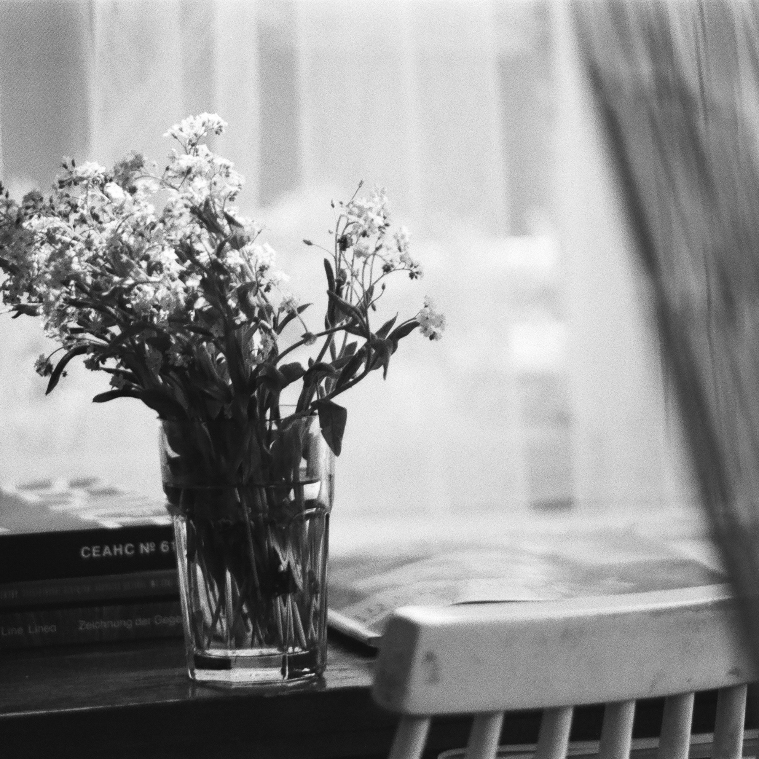 On film. Женя Красовская | Фотограф | Визуал для брендов