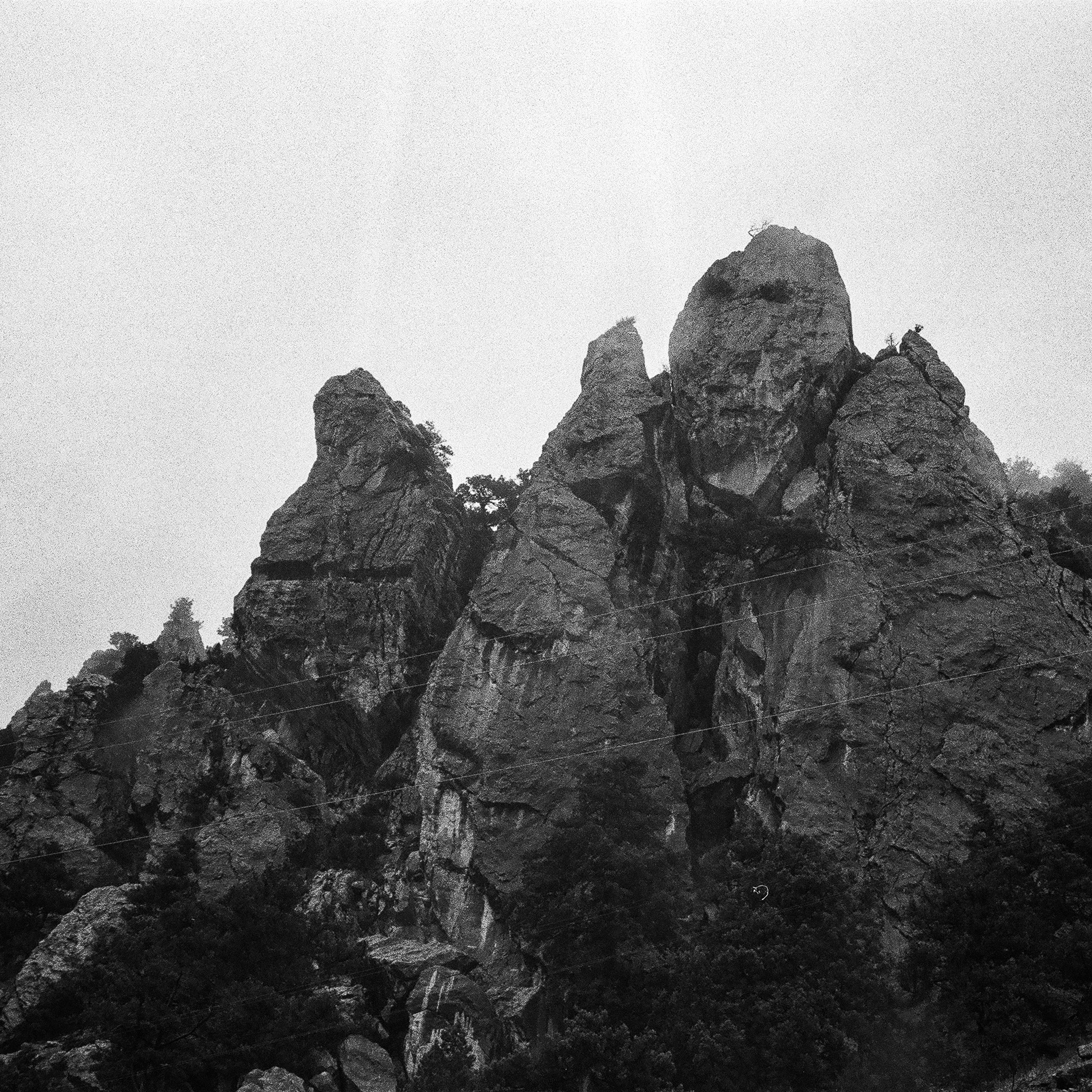 On film. Женя Красовская | Фотограф | Визуал для брендов