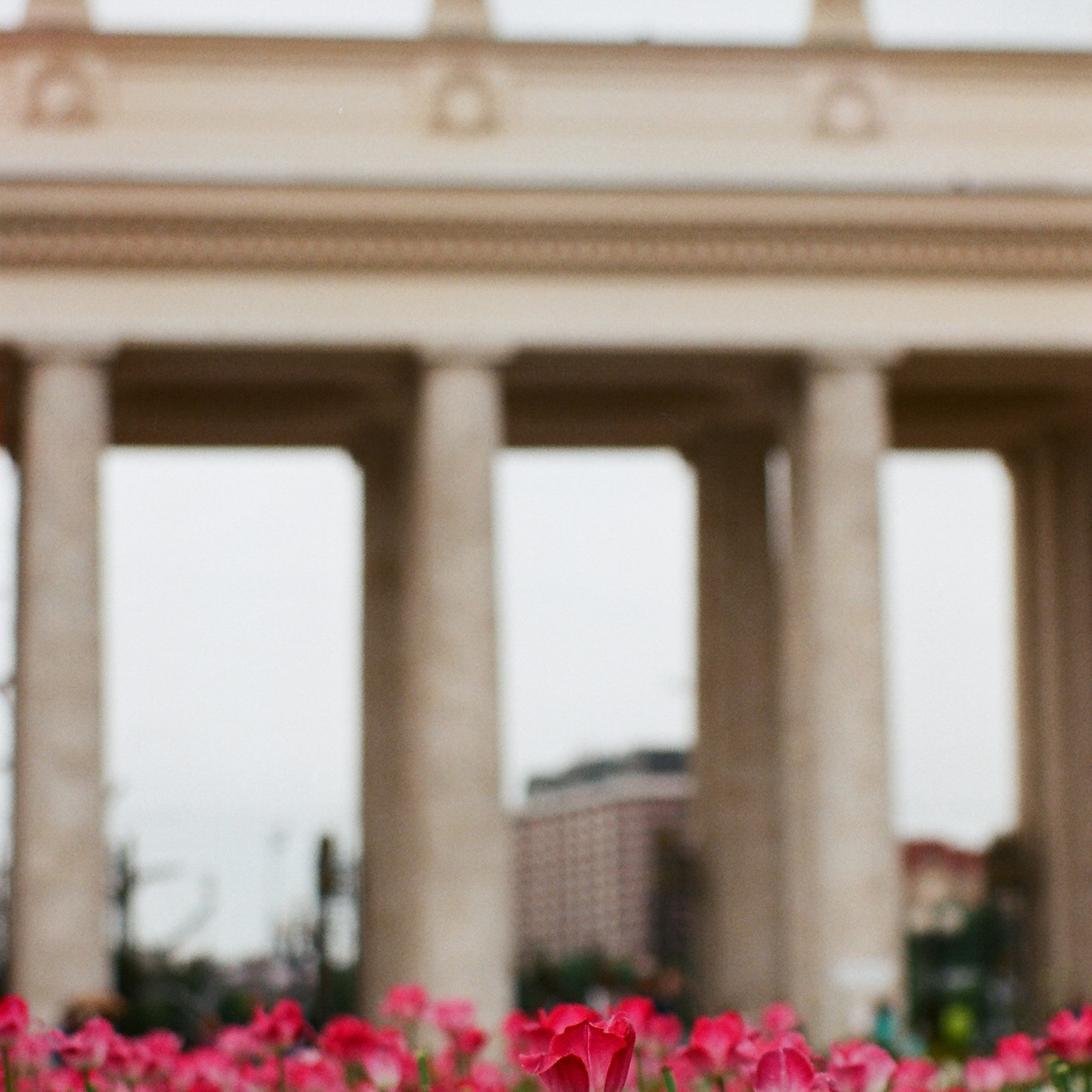 On film. Женя Красовская | Фотограф | Визуал для брендов