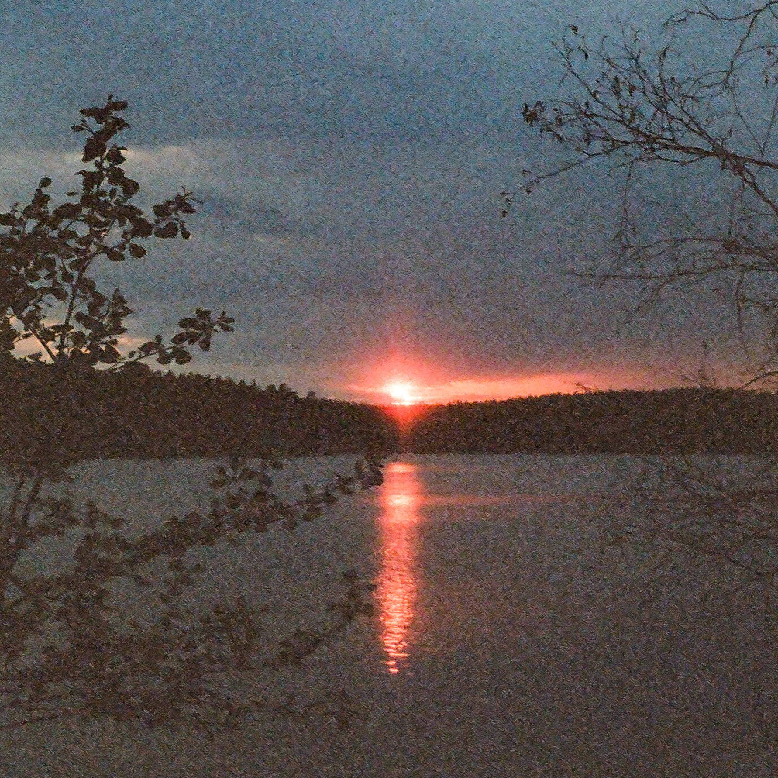 On film. Женя Красовская | Фотограф | Визуал для брендов
