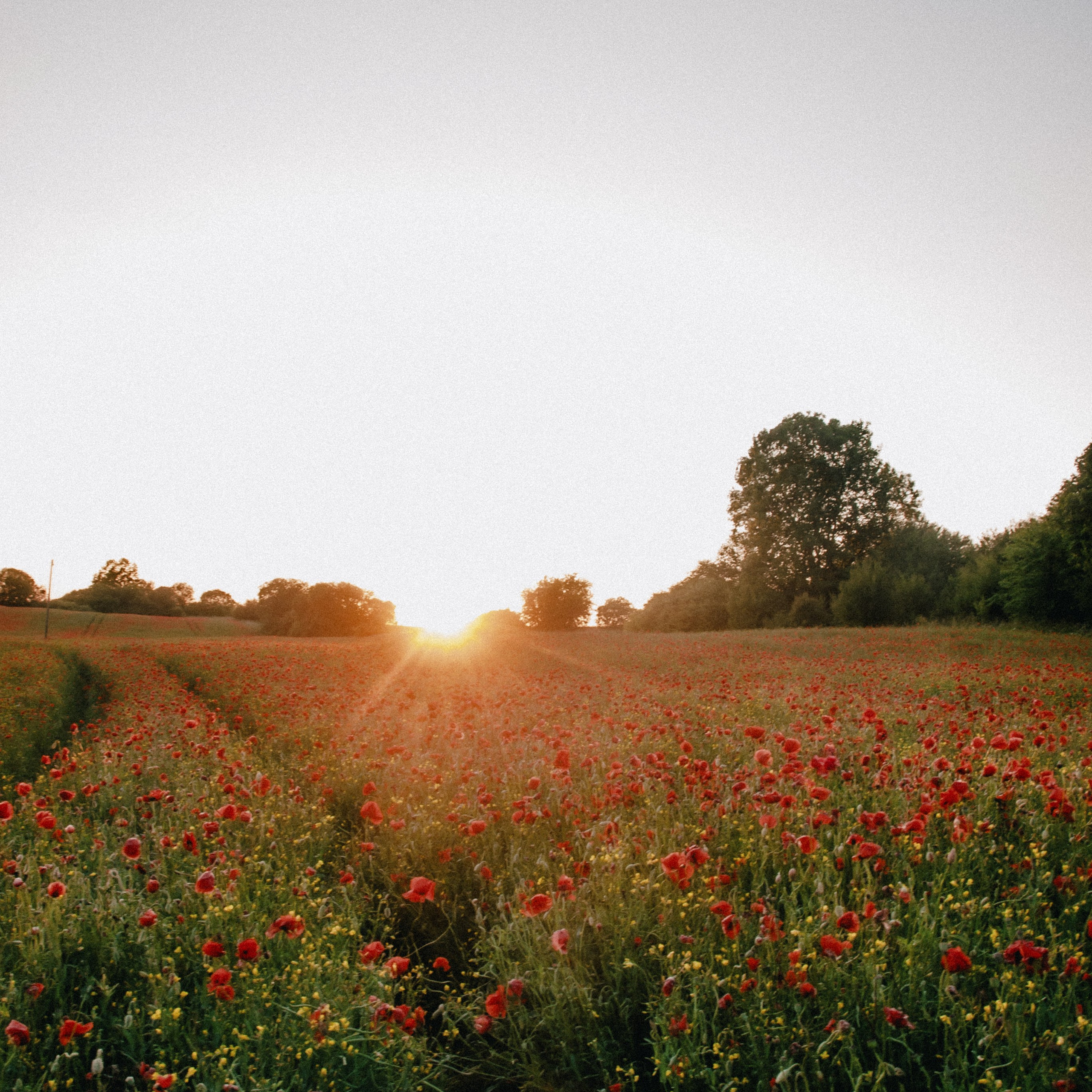 МАКИ. Женя Красовская | Фотограф | Визуал для брендов