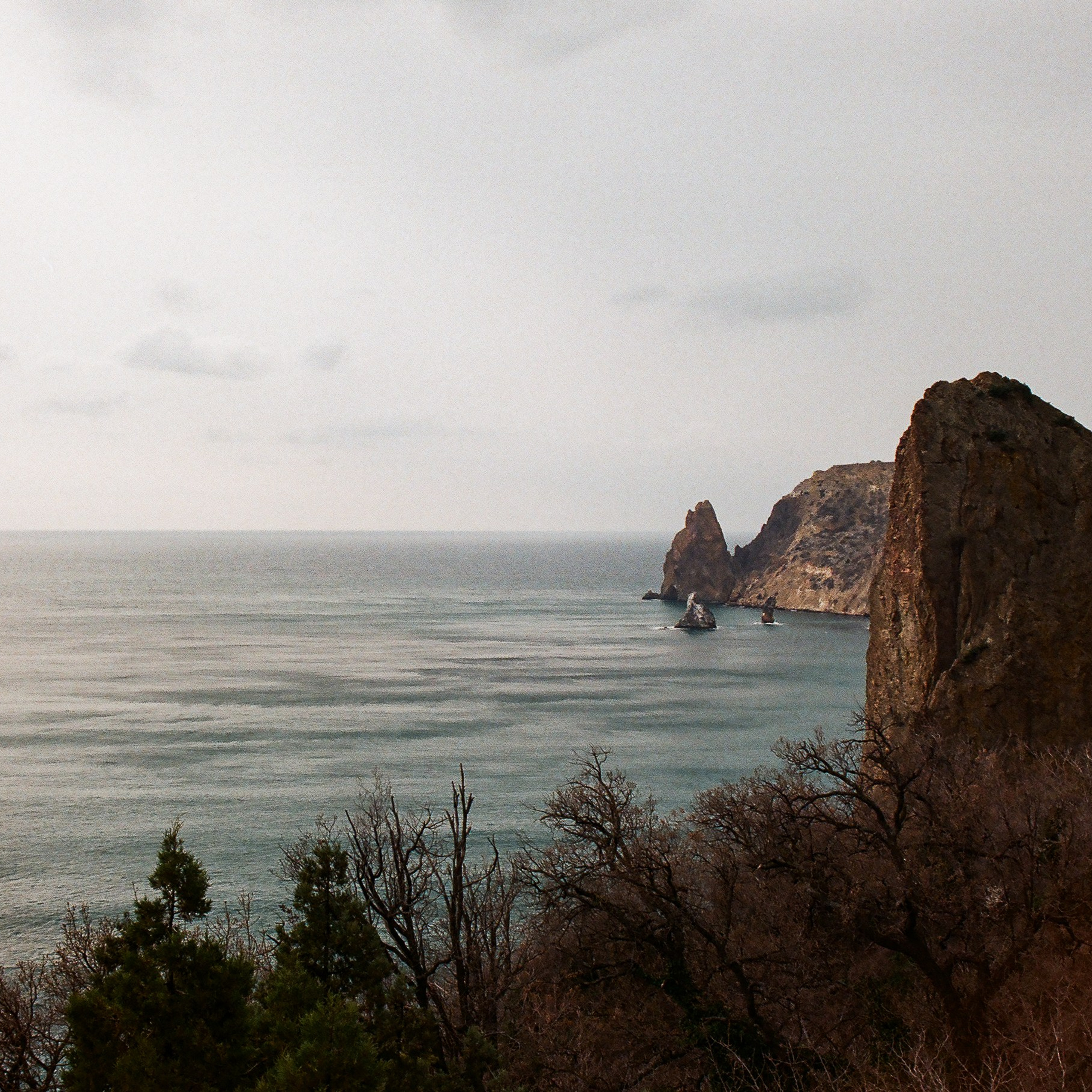On film. Женя Красовская | Фотограф | Визуал для брендов