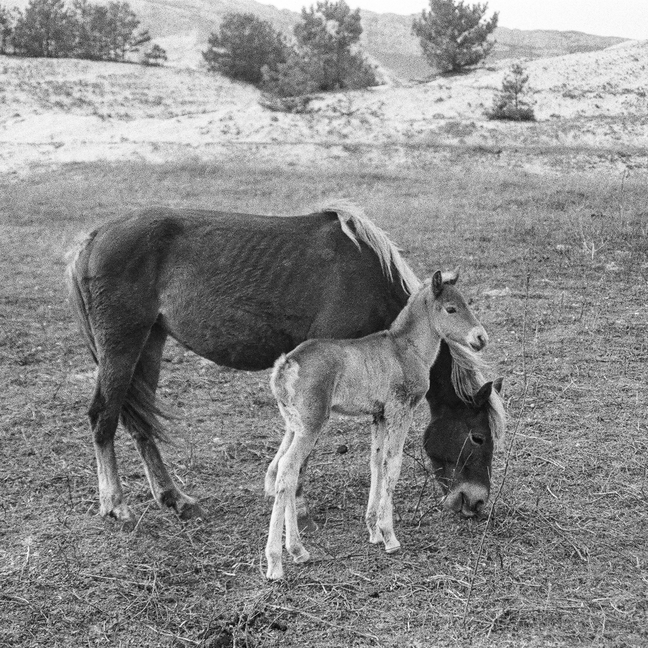 On film. Женя Красовская | Фотограф | Визуал для брендов