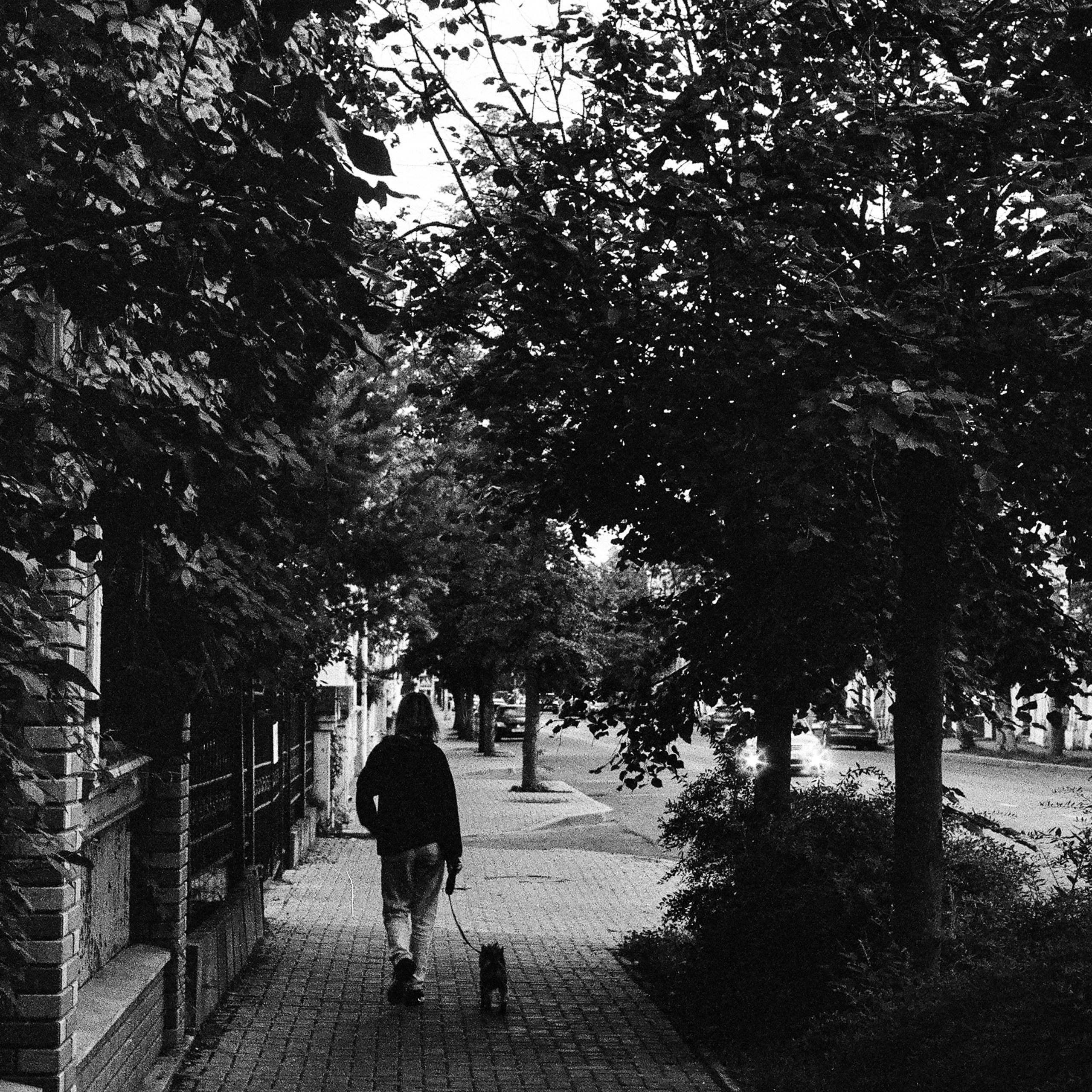 On film. Женя Красовская | Фотограф | Визуал для брендов