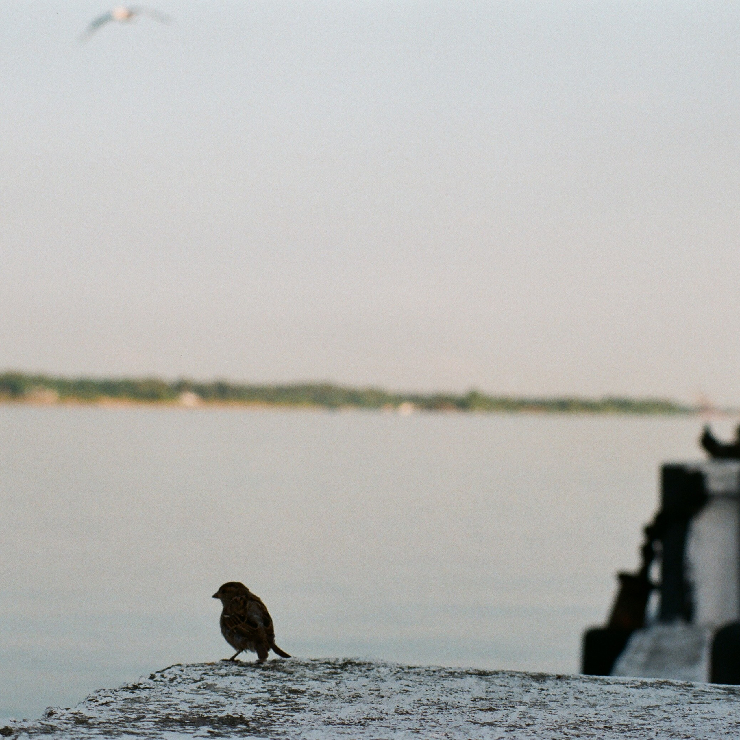 On film. Женя Красовская | Фотограф | Визуал для брендов