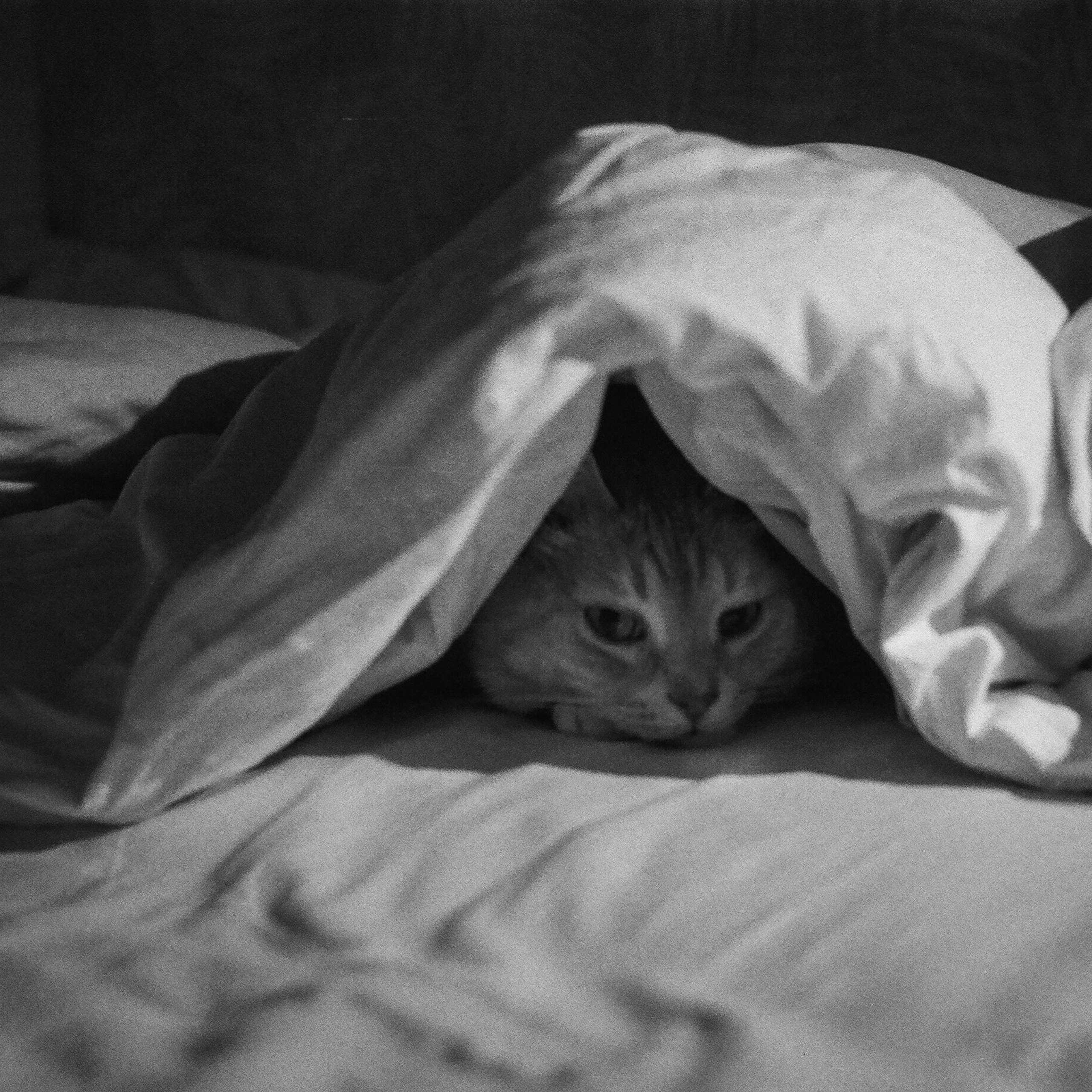 On film. Женя Красовская | Фотограф | Визуал для брендов