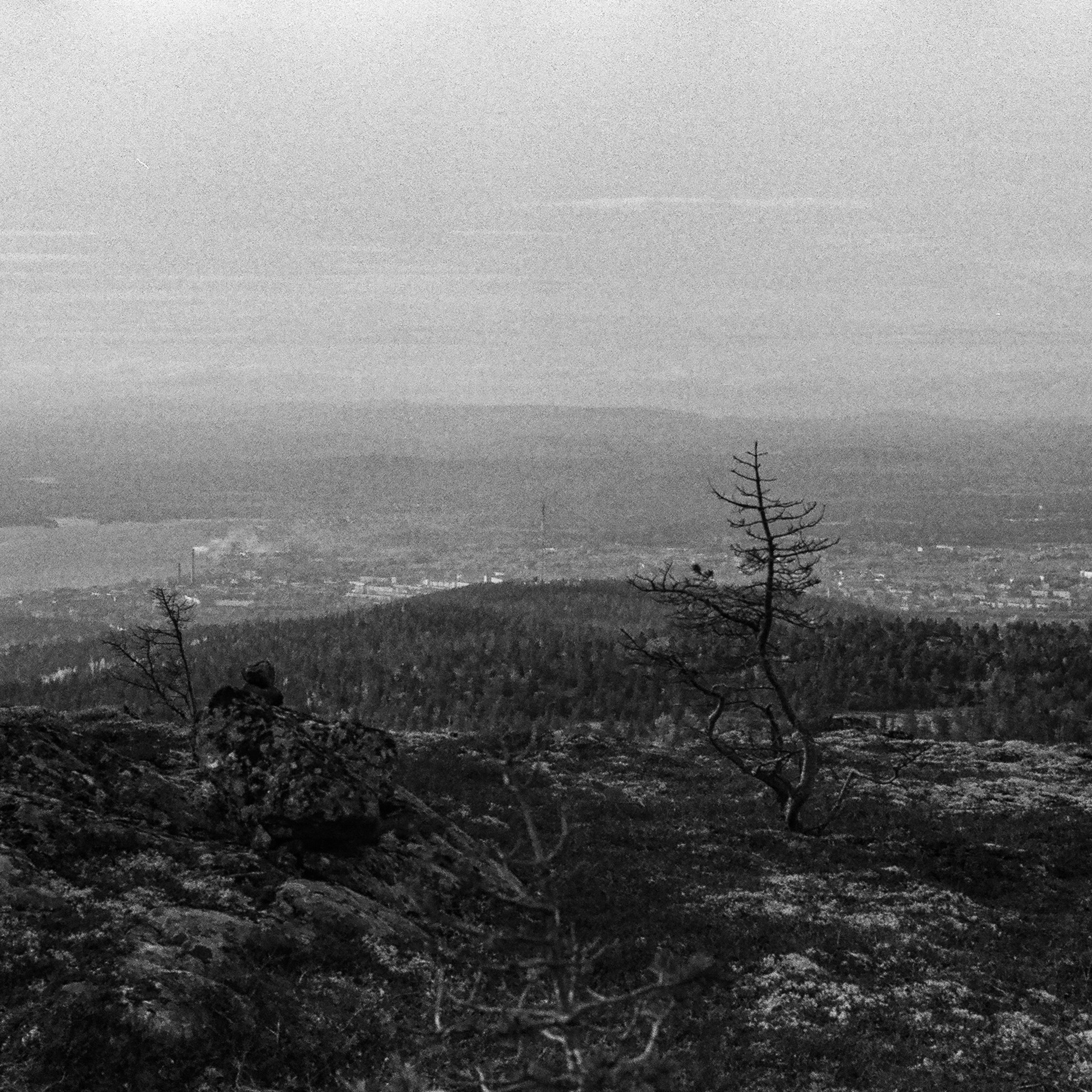 On film. Женя Красовская | Фотограф | Визуал для брендов