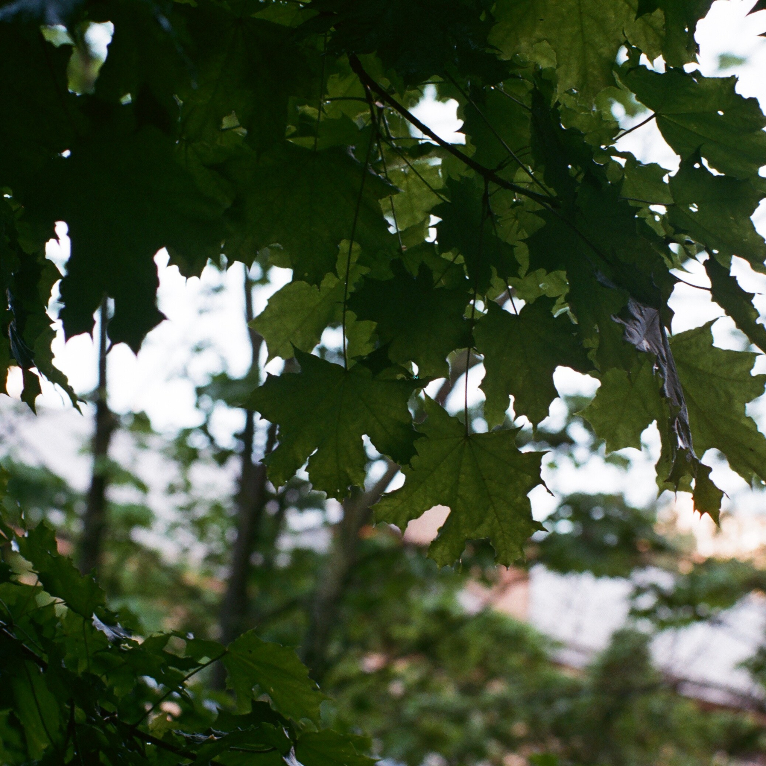 On film. Женя Красовская | Фотограф | Визуал для брендов