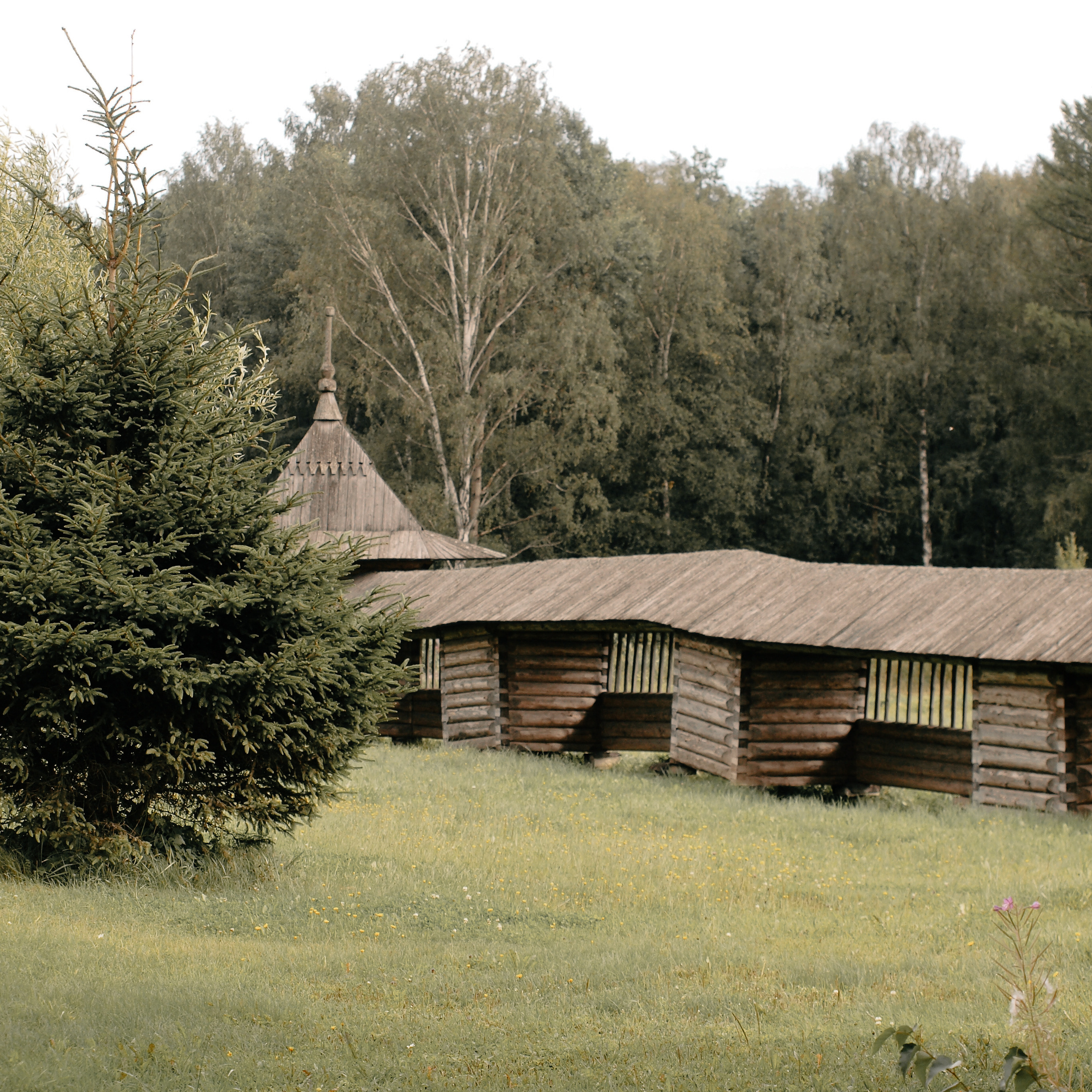 В деревне. Женя Красовская | Портретный Фотограф | Визуал для брендов