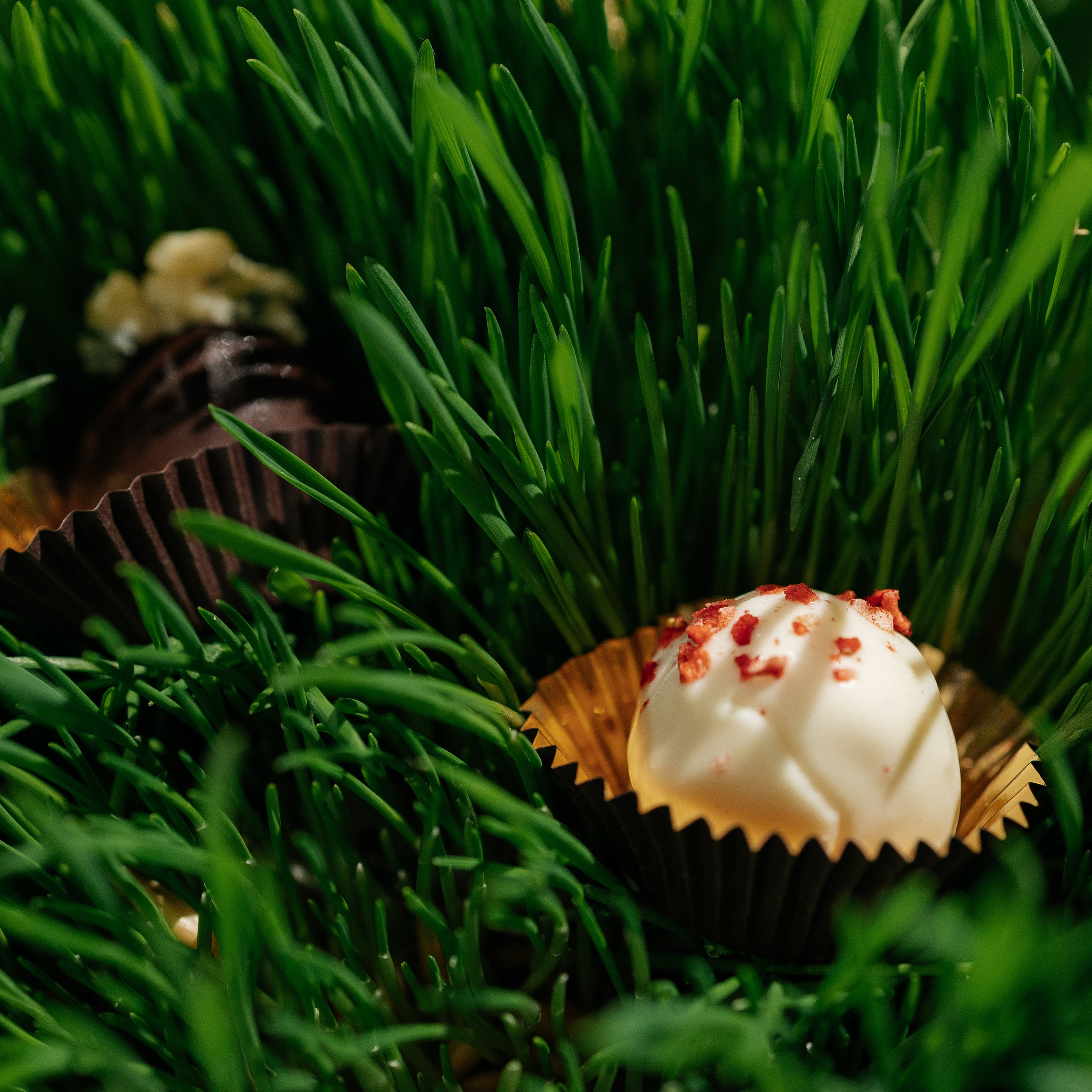 Отзывы клиентов о работе Demskoy Studio. Архитектурный и интерьерный фотограф в Краснодаре | Дмитрий Демской