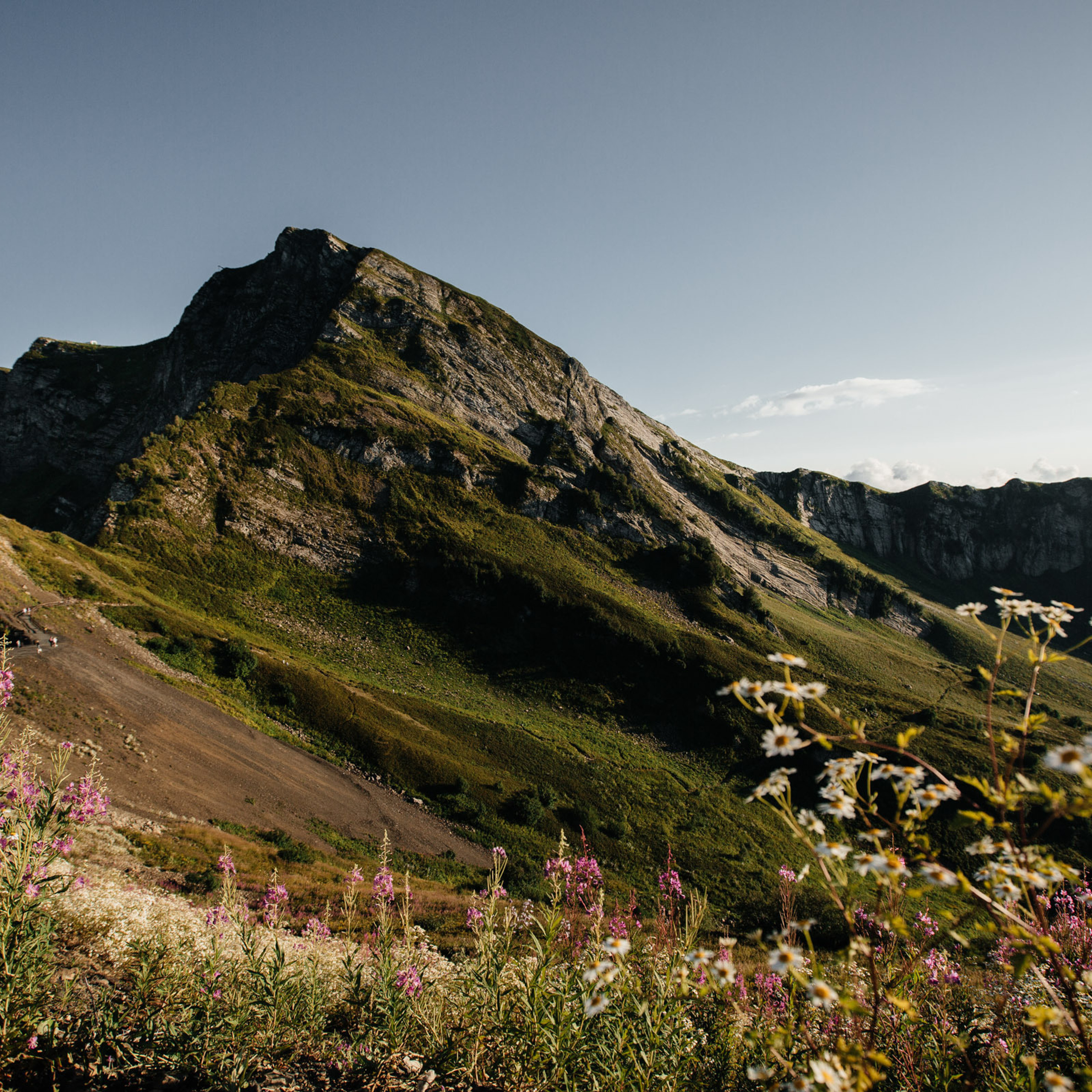 Отзывы клиентов о работе Demskoy Studio. Архитектурный и интерьерный фотограф в Краснодаре | Дмитрий Демской