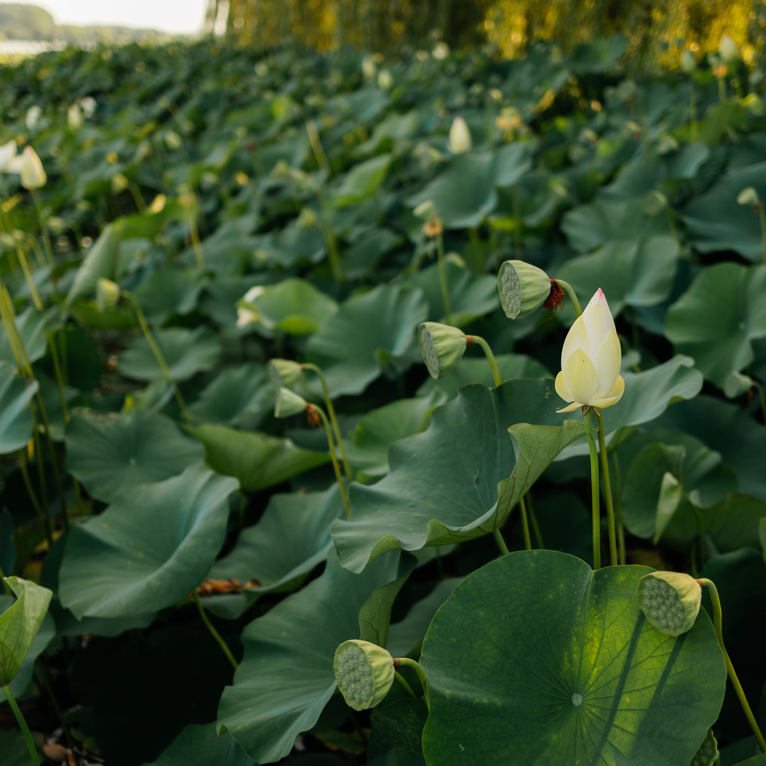 Отзывы клиентов о работе Demskoy Studio. Архитектурный и интерьерный фотограф в Краснодаре | Дмитрий Демской