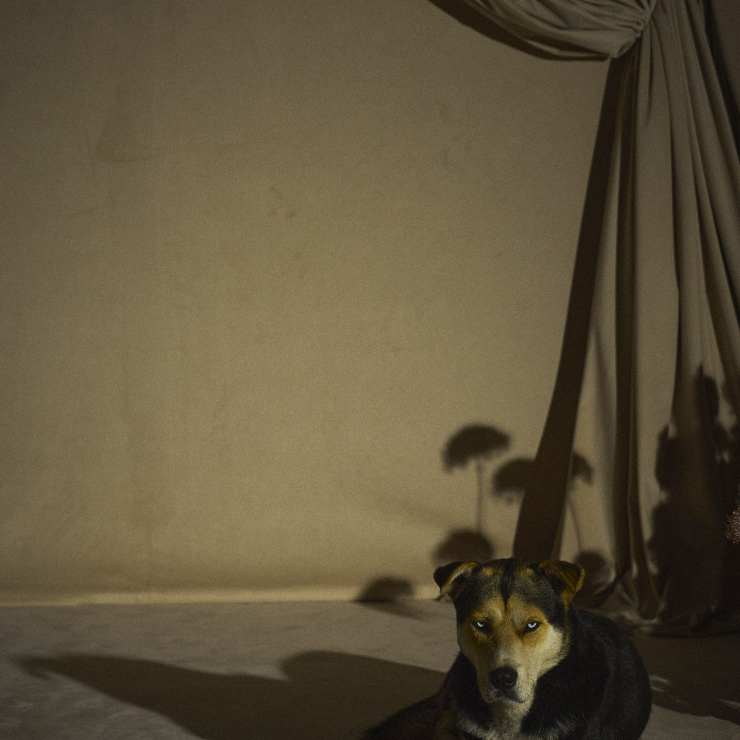 Марианна и Владислав. Свадебный и индивидуальный фотограф в Воронеже Светлана Сомова