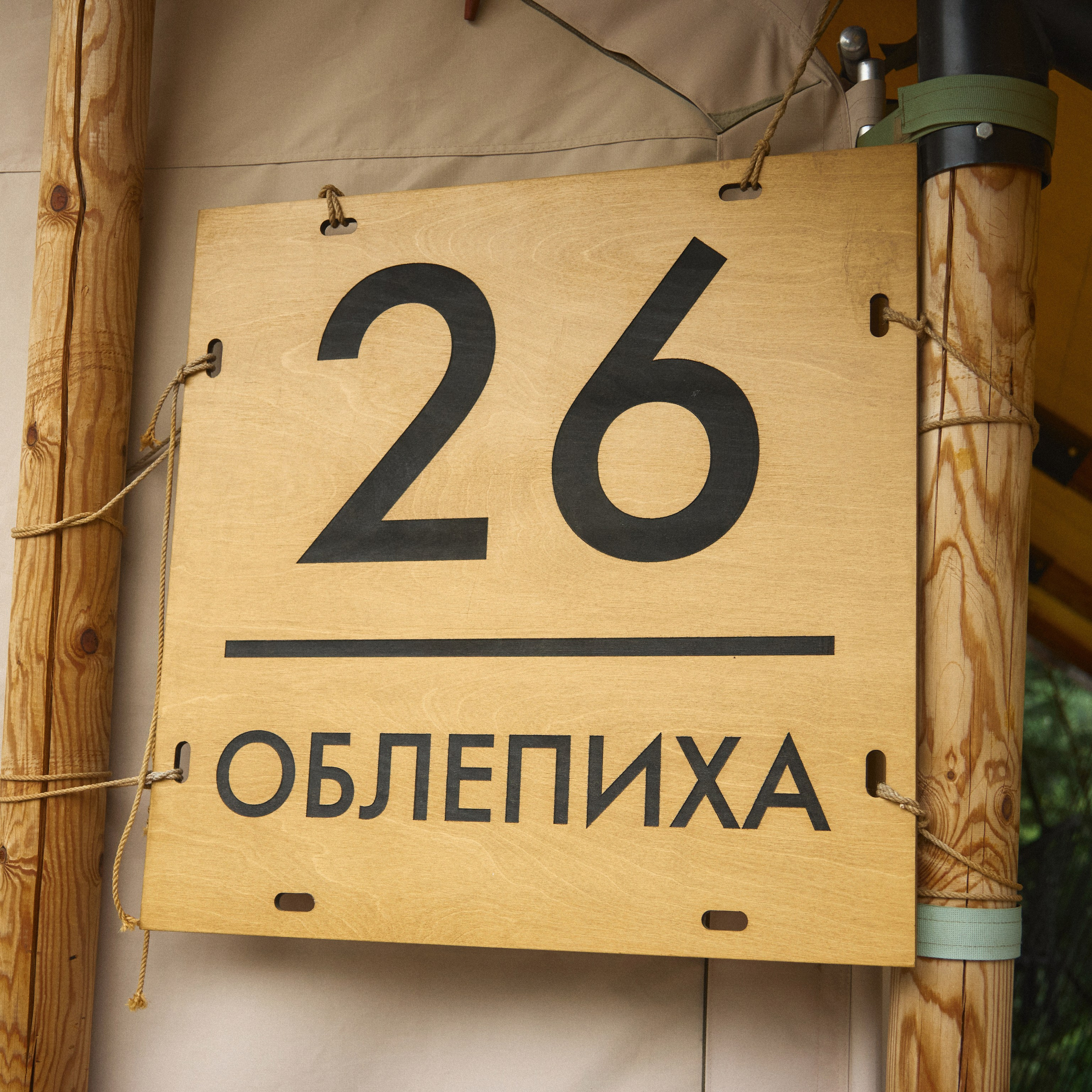 Вика и Ваня. Свадебный и индивидуальный фотограф в Воронеже Светлана Сомова