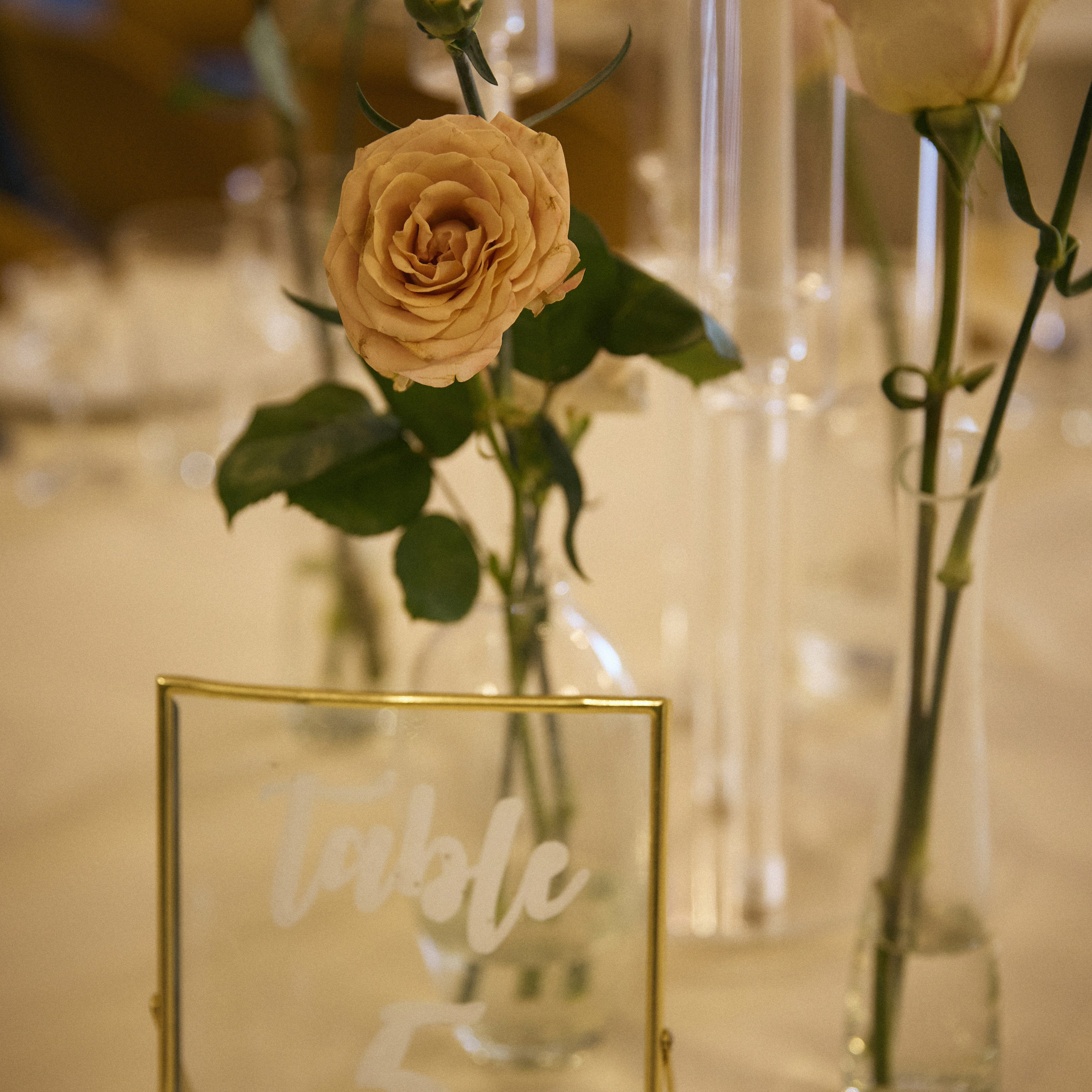 Татьяна и Владимир. Свадебный и индивидуальный фотограф в Воронеже Светлана Сомова