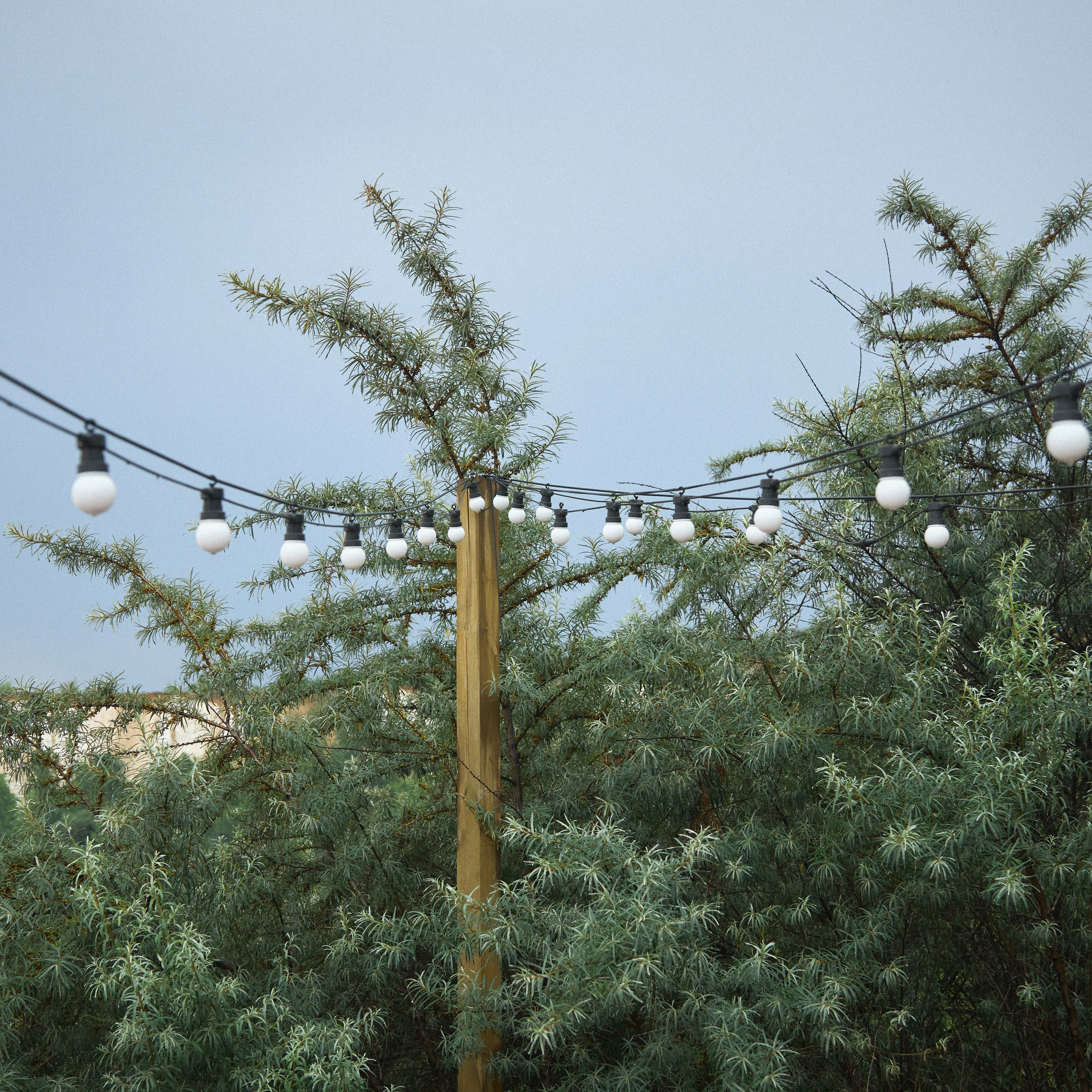 Вика и Ваня. Свадебный и индивидуальный фотограф в Воронеже Светлана Сомова