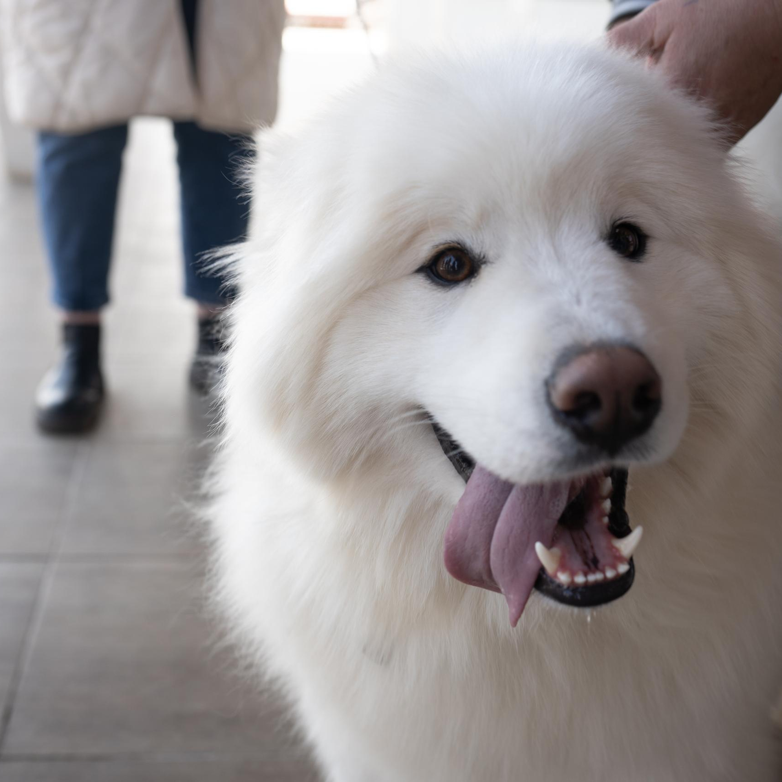 Отзывы. Фотограф в Ижевске Максим Грундул