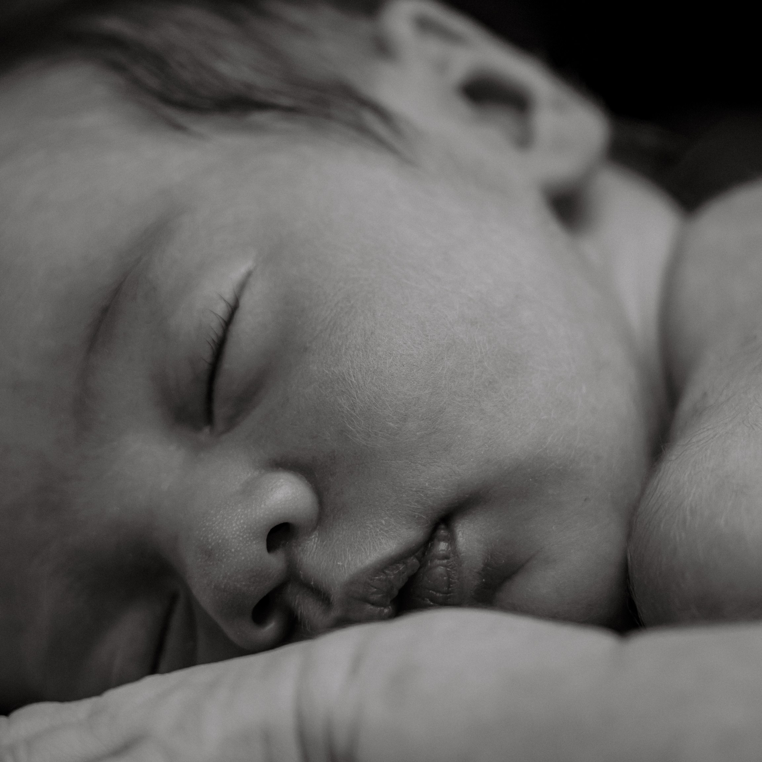 Фотограф в Москве