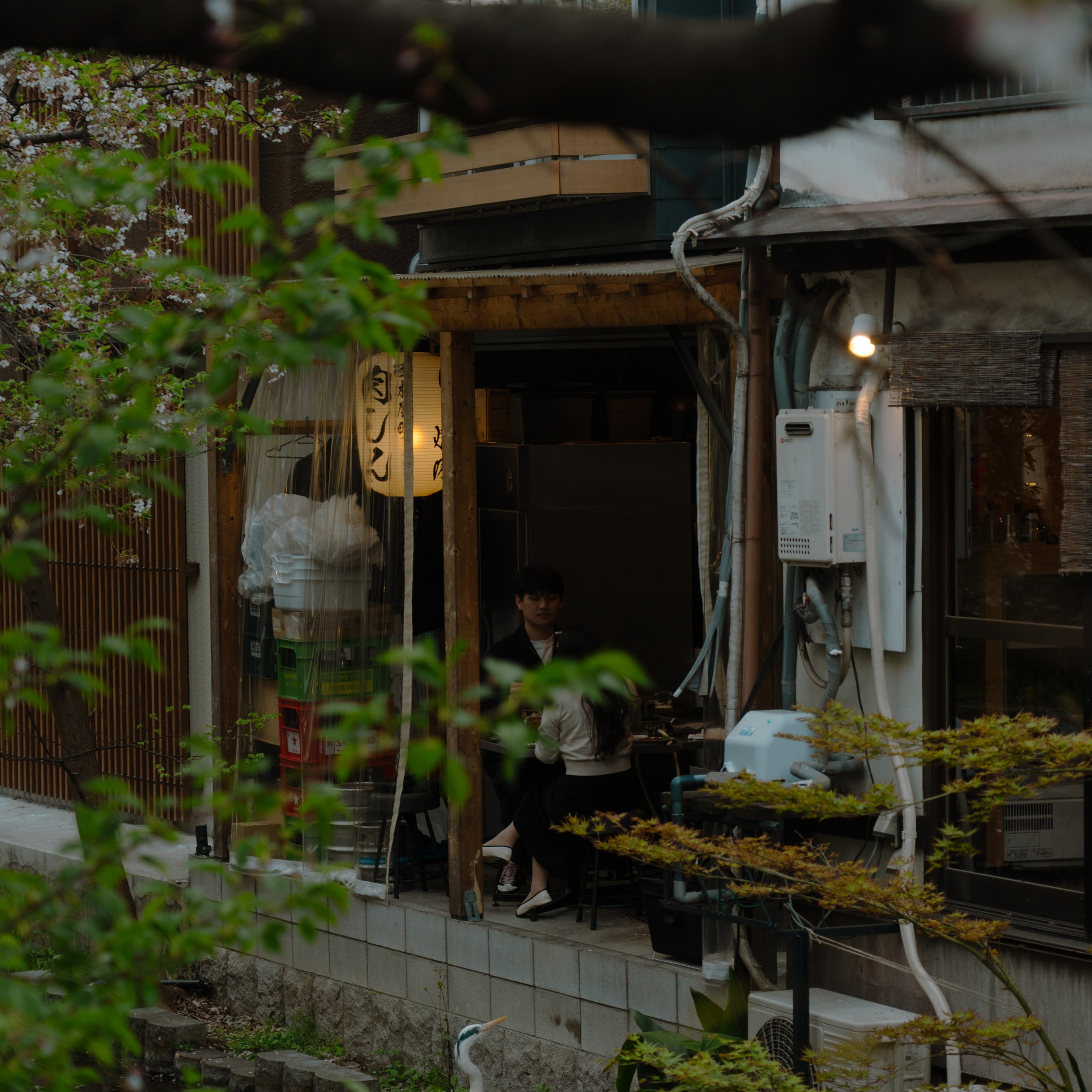 Фотограф в Москве