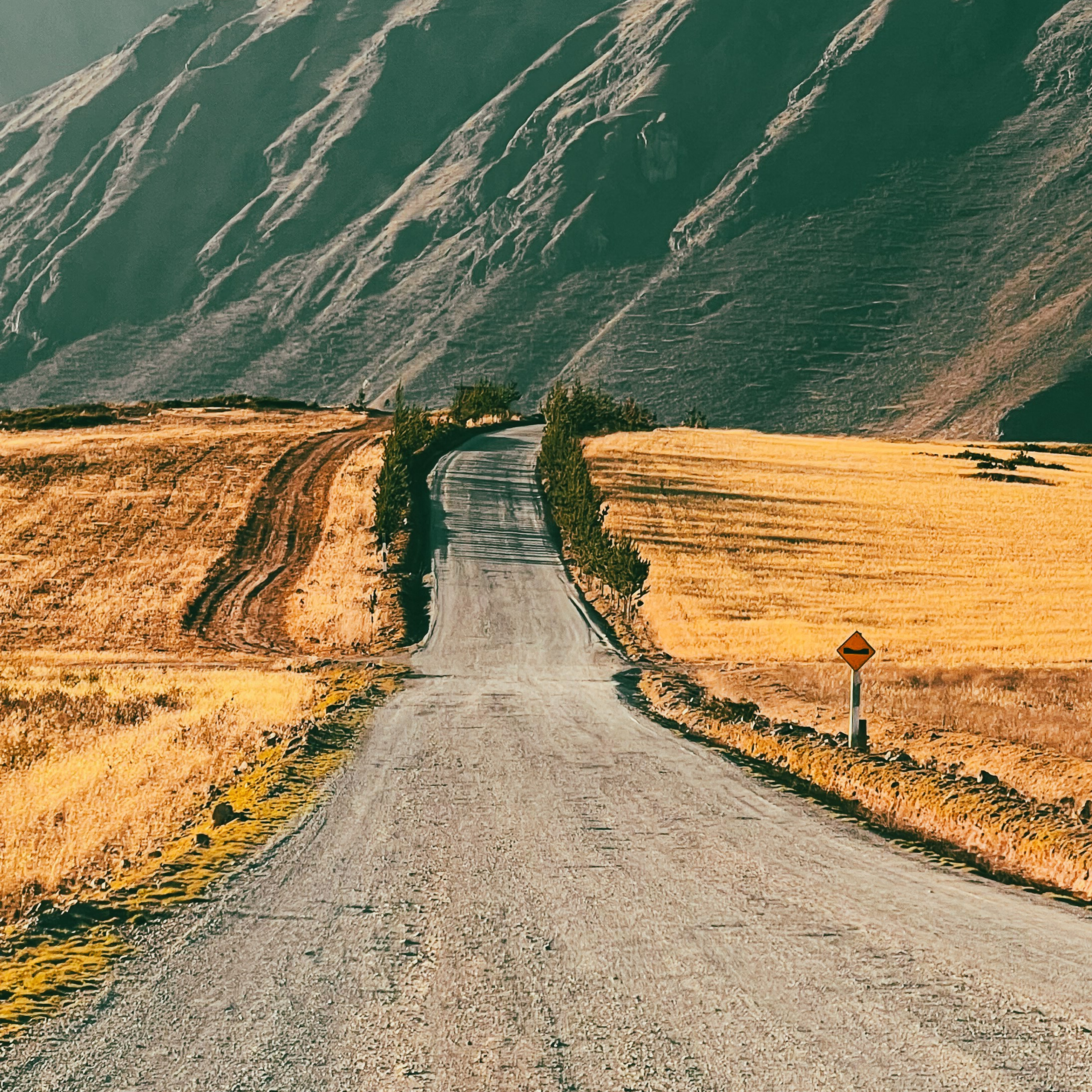 Фотограф в Москве