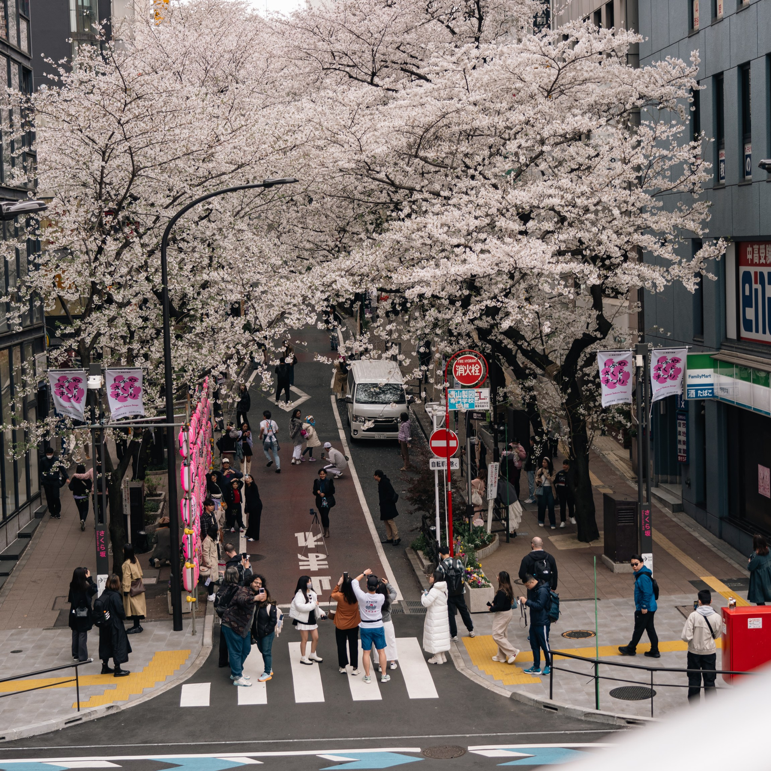 Фотограф в Москве