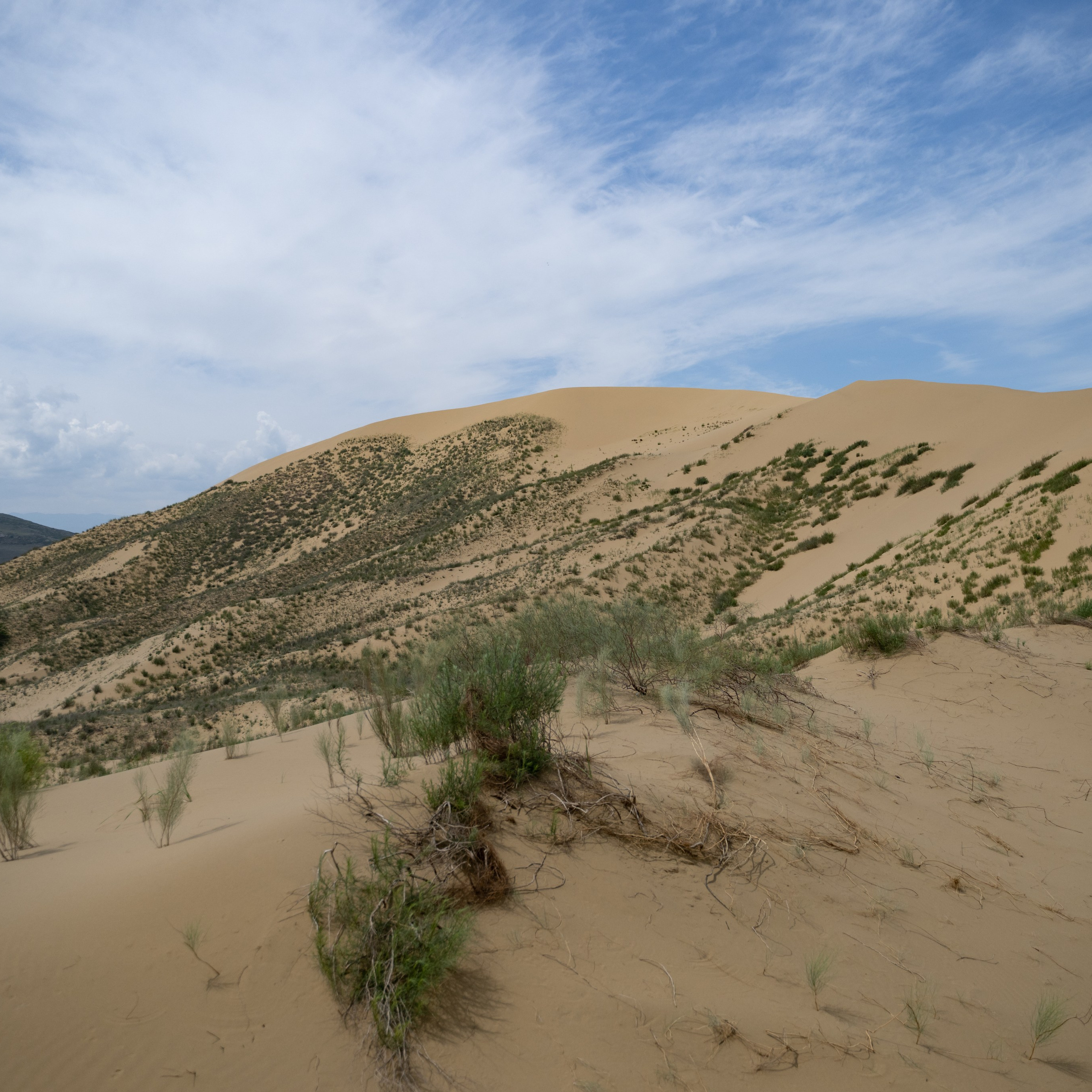 Фототуры. Сайт фотографа.Приветствую Вас на своём сайте. Меня зовут Мария Васильева. Я являюсь профессиональным фотографом. Город Красноярск