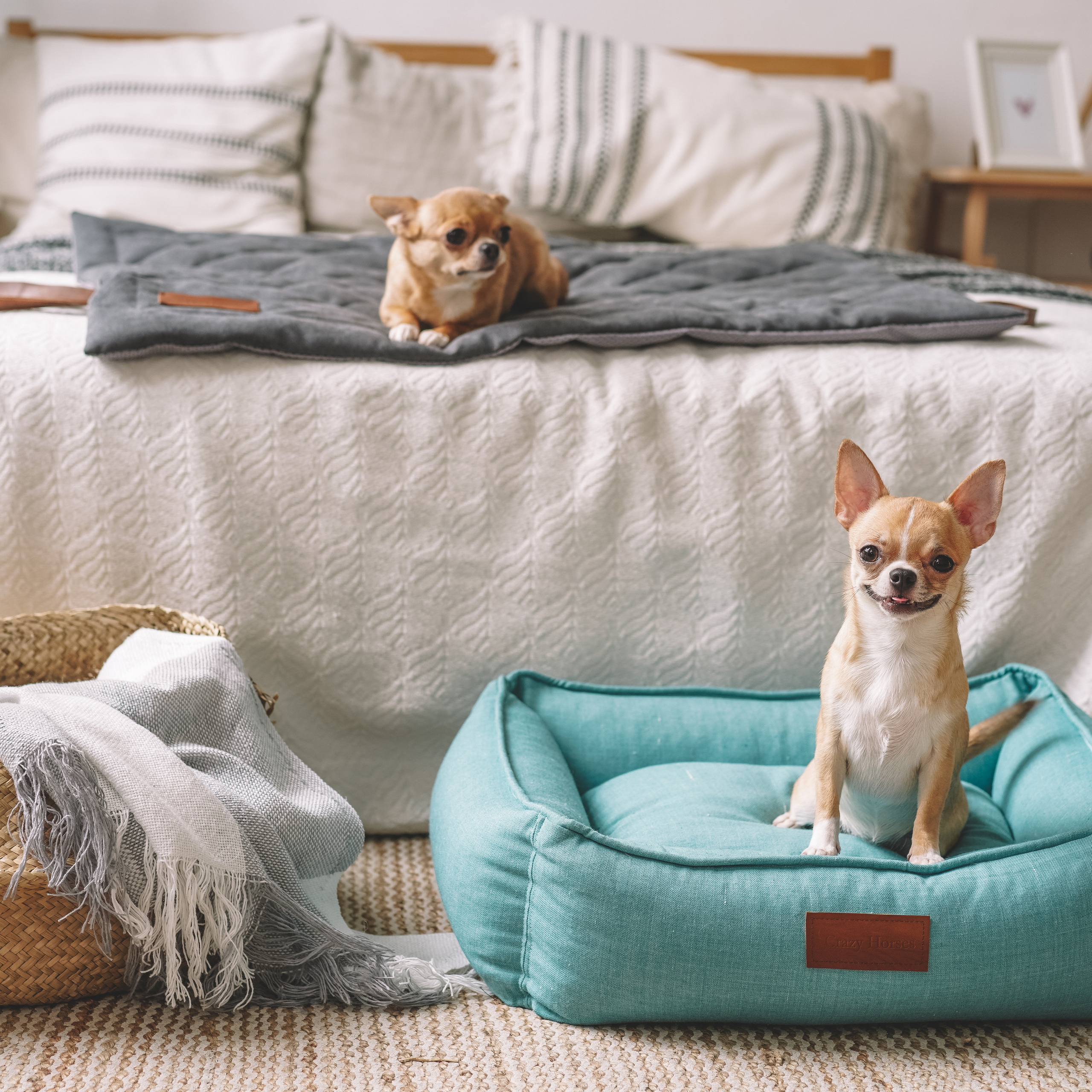 Лежанки для собак H-Pony