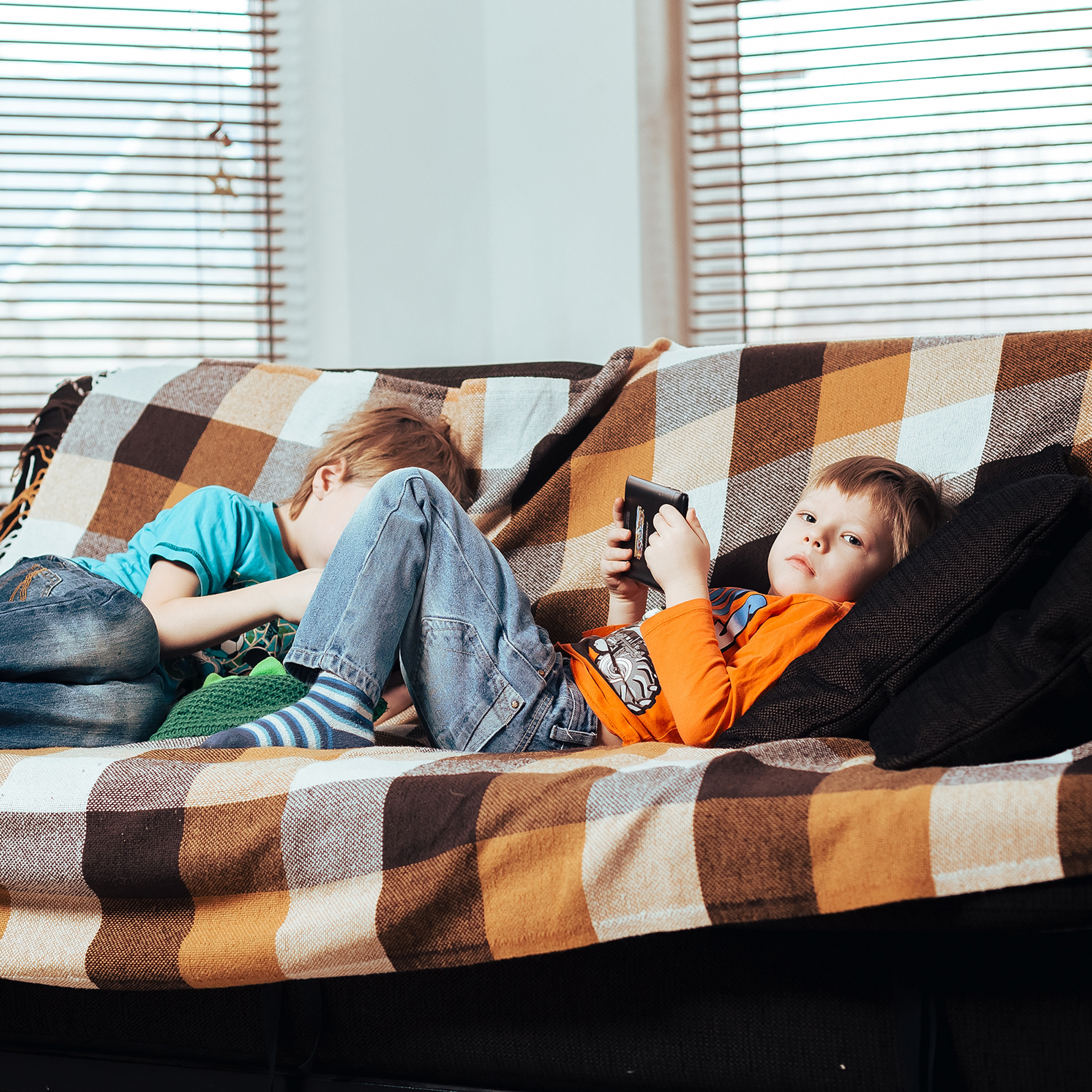 Владимир и сыновья