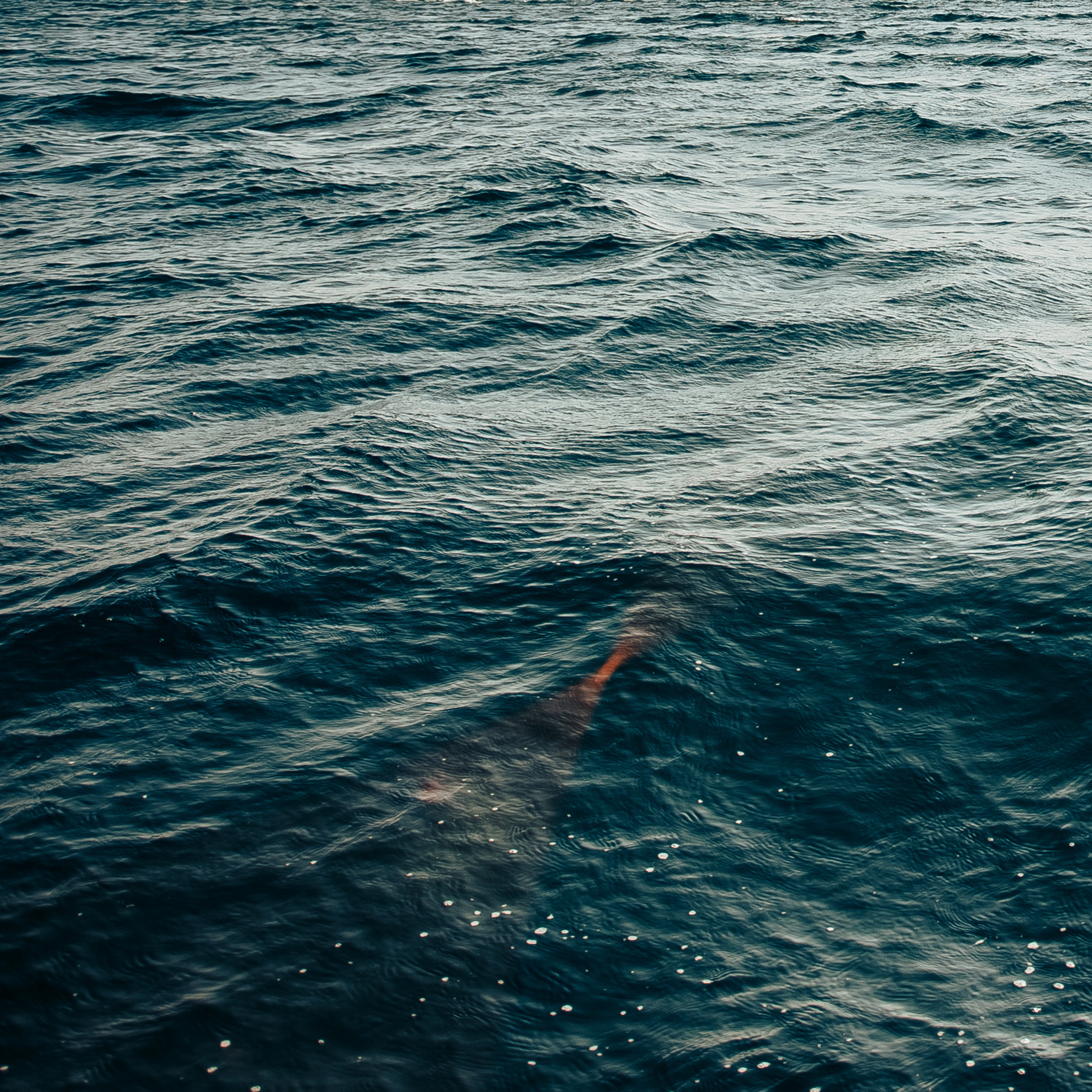 Ваня и Валя