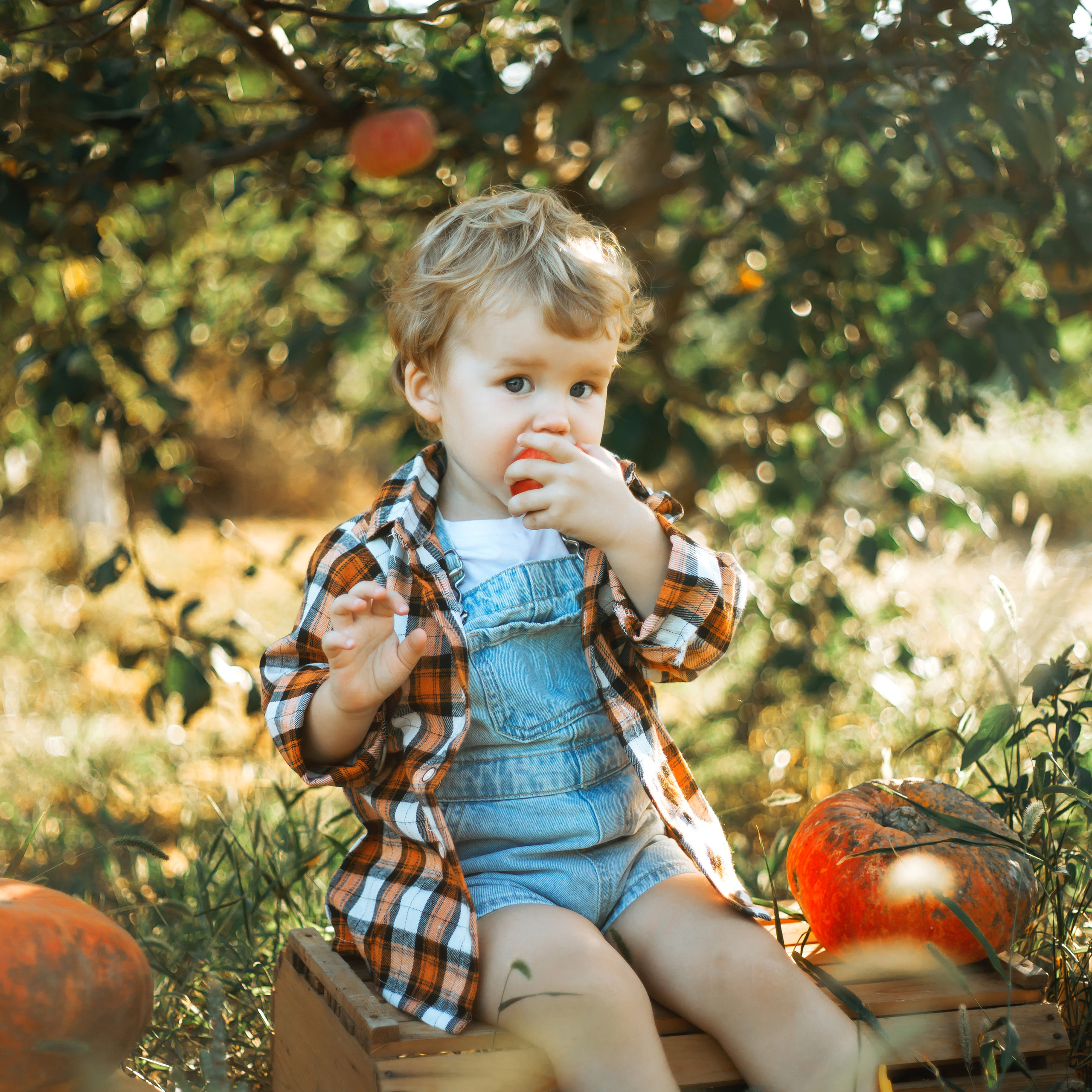 Отзывы. Свадебный и семейный фотограф в Краснодарском крае Мария Данилкина