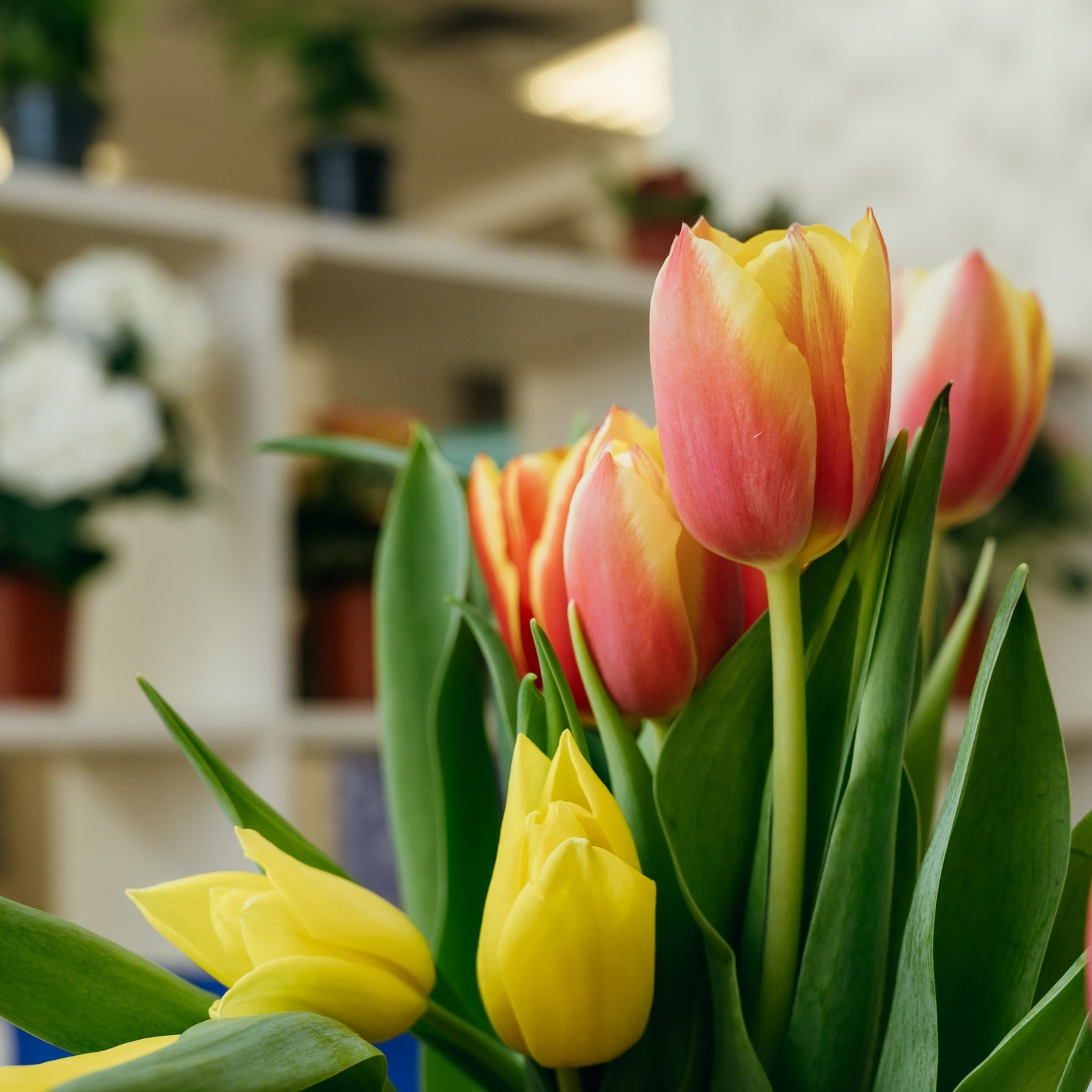 Отзывы. Фотограф Сергей Бабин