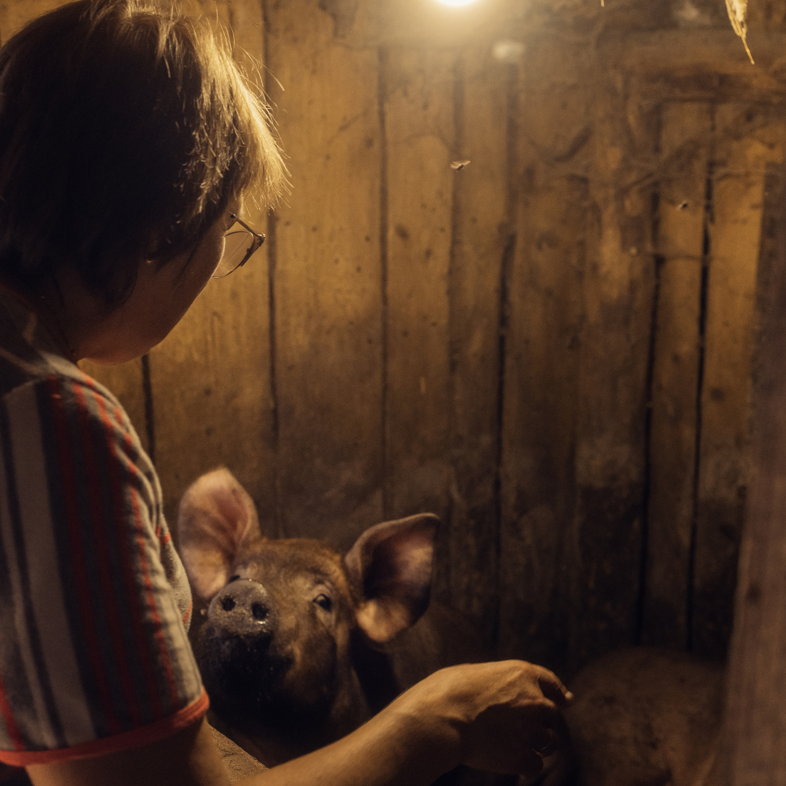 Отзывы. Фотограф Мартыненко Екатерина. Всеволожск. Санкт-Петербург и ЛО