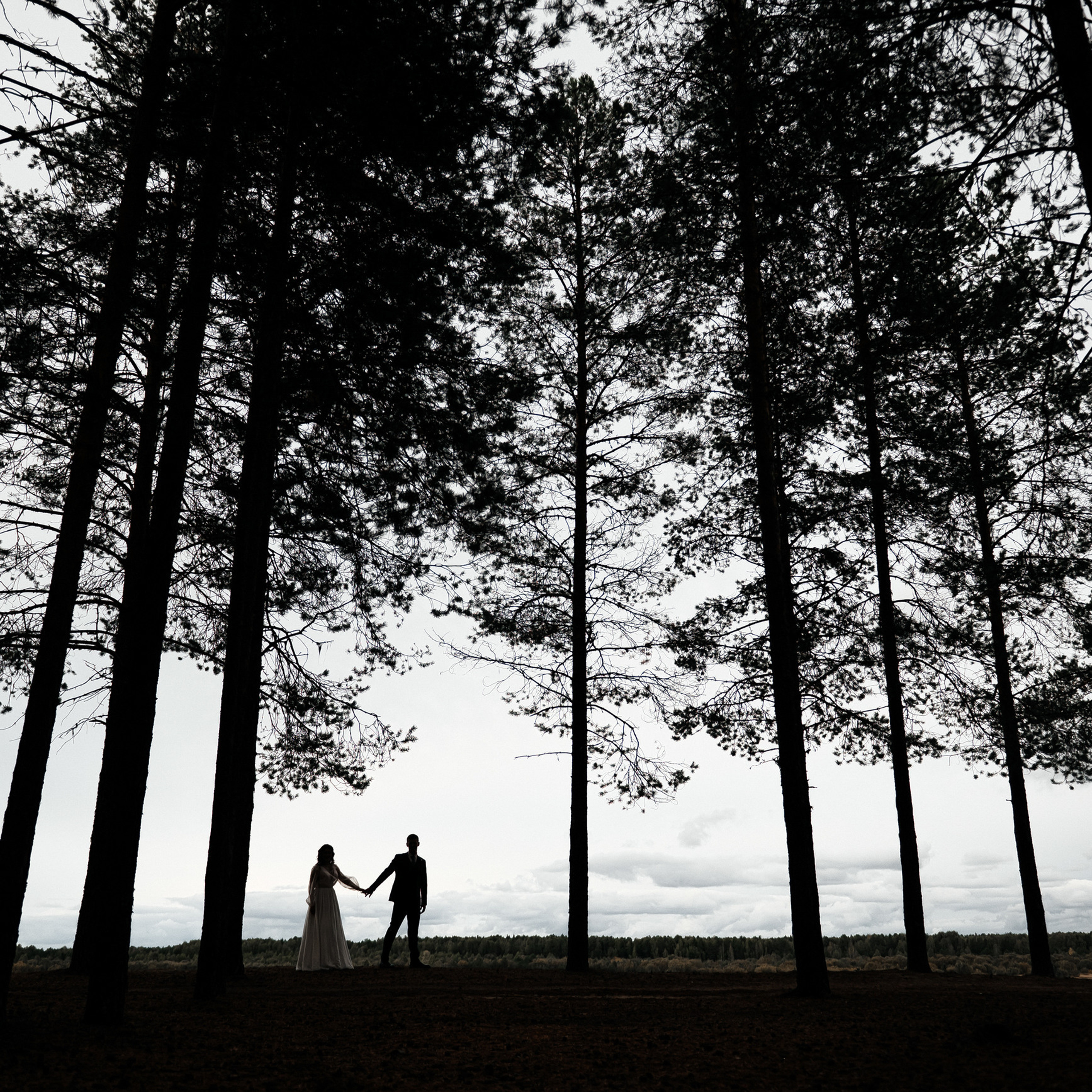 Отзывы. Zhulanovilya