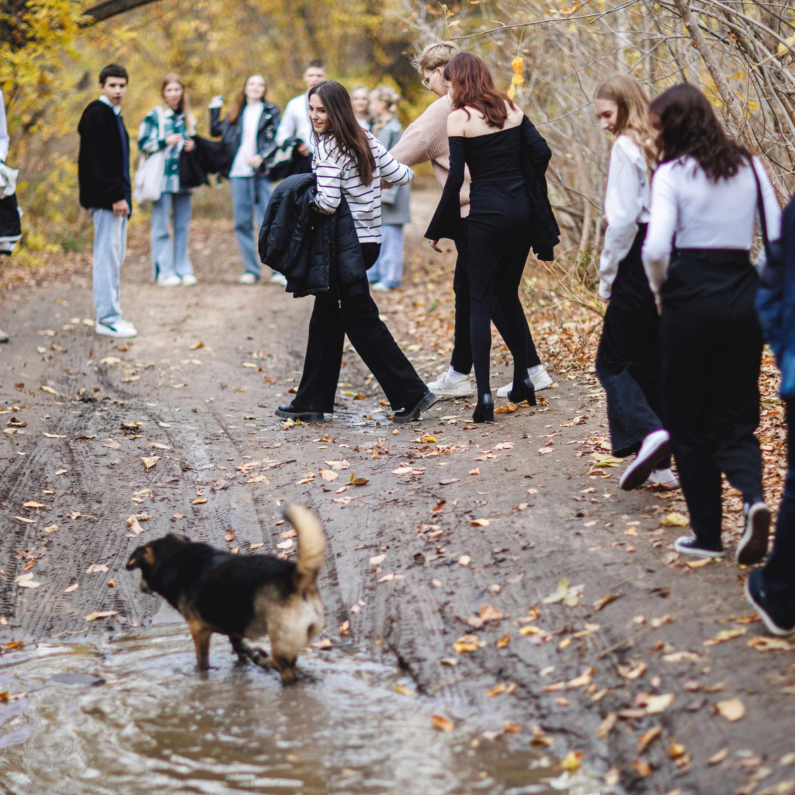 Отзывы. Фотограф Александр Герасимов