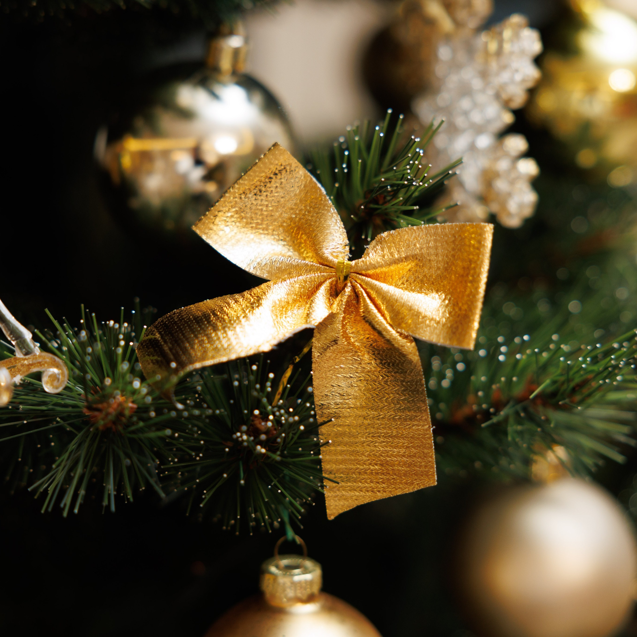 Отзывы. Фотограф Александр Герасимов