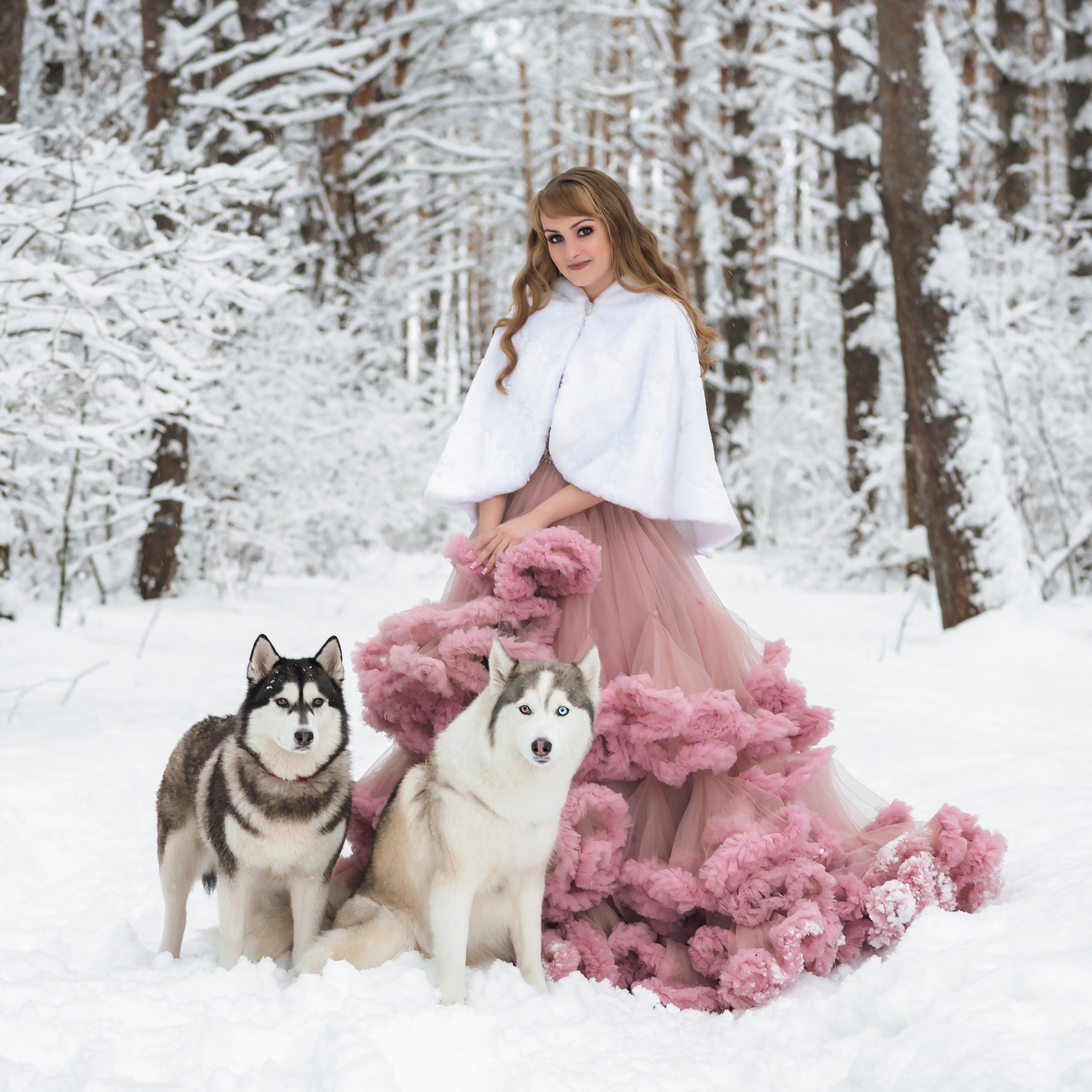 Зимняя фотосессия для Анюты c хаски Тайной и Ютой