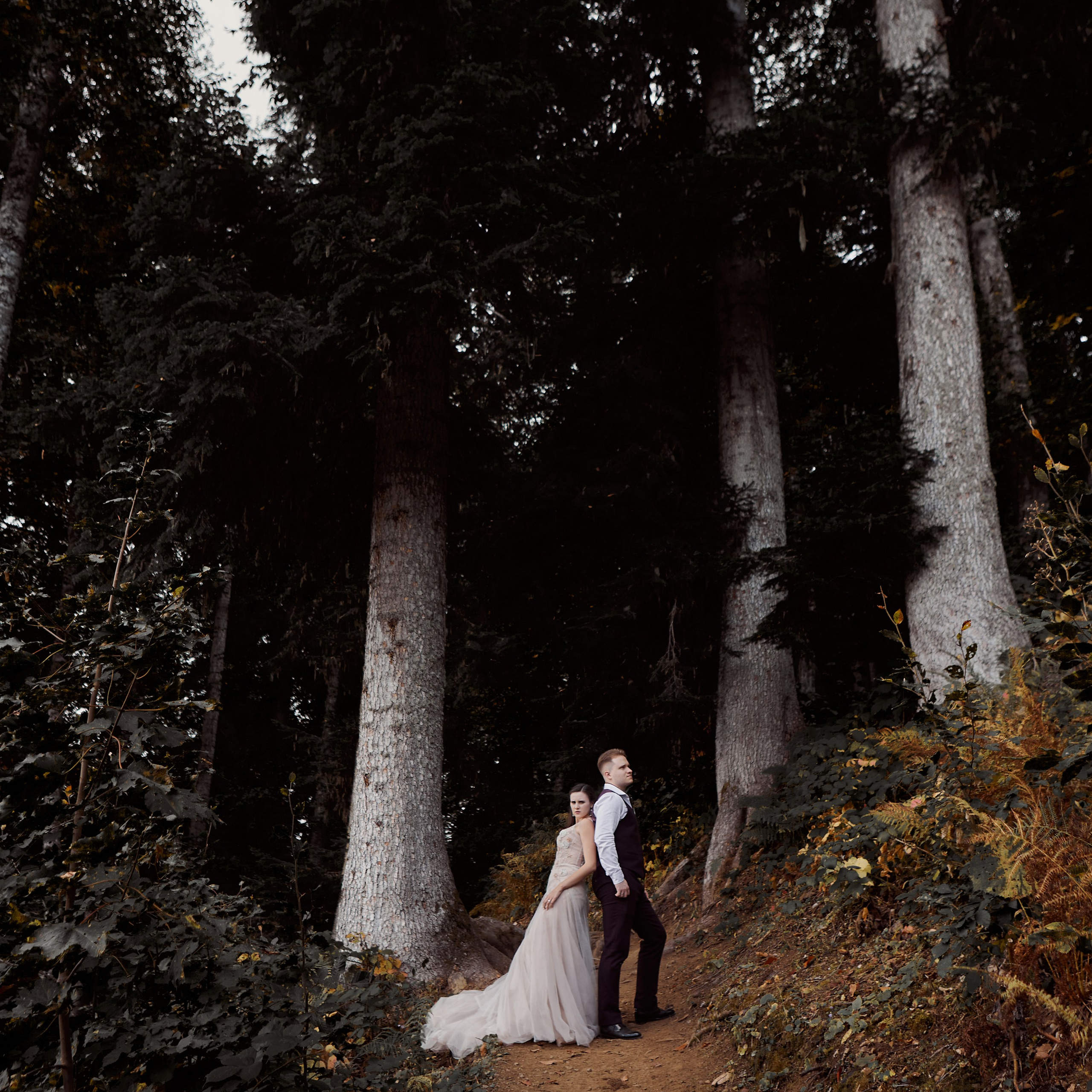 David & Lisa свадьба в горах