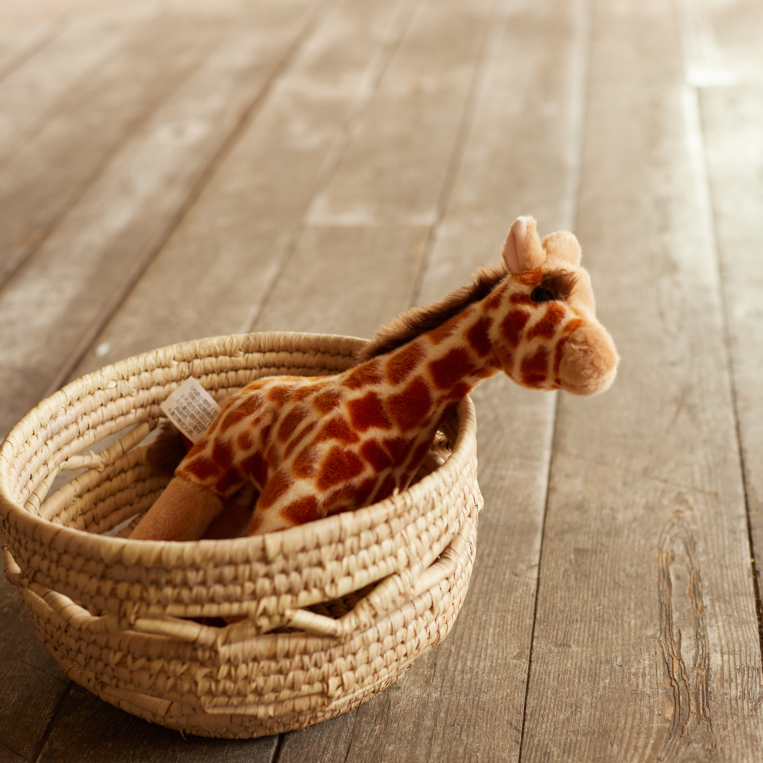 Отзывы. Свадебный фотограф Светлана Кривчикова