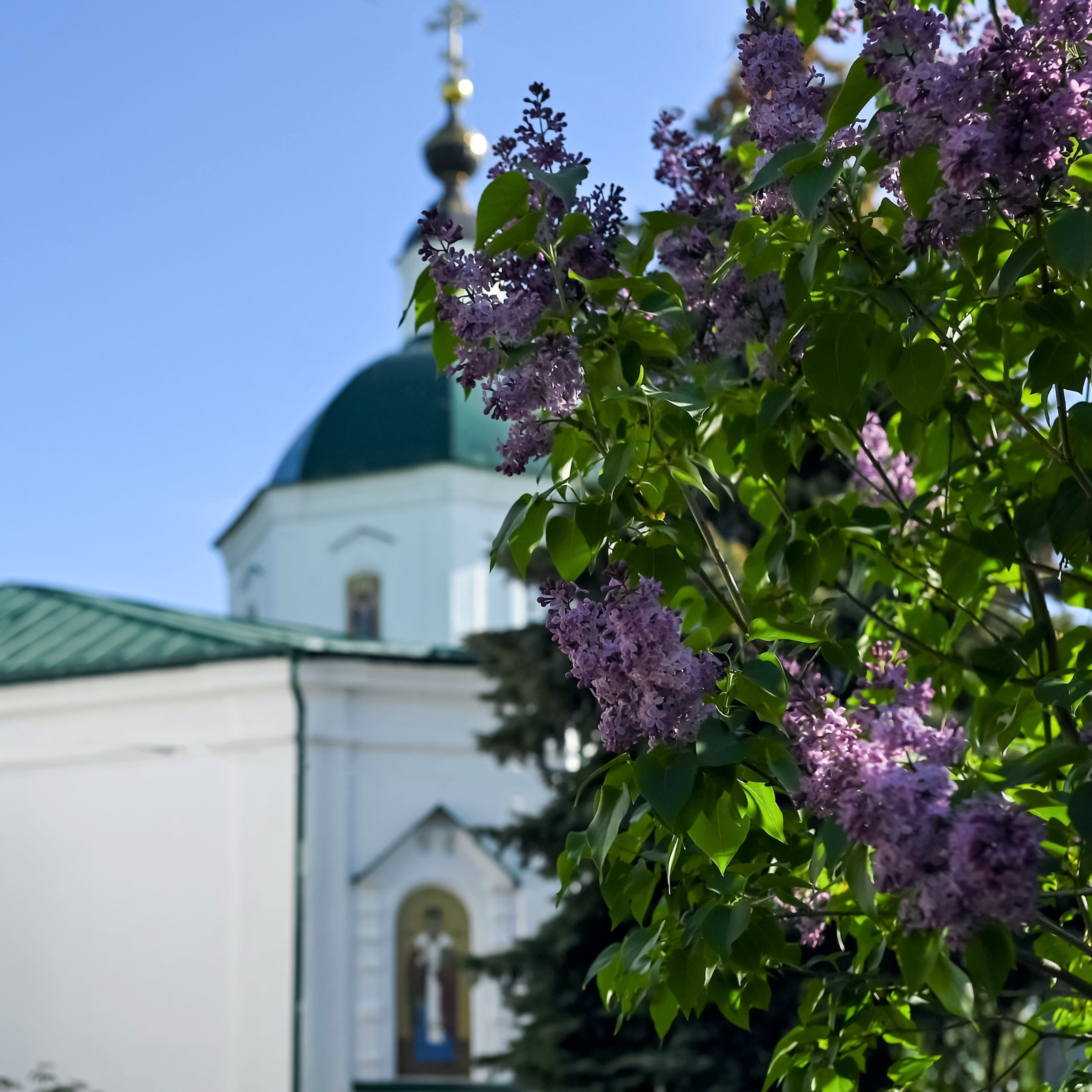 Отзывы. Семейный фотограф в г. Воскресенск Наталия Молева