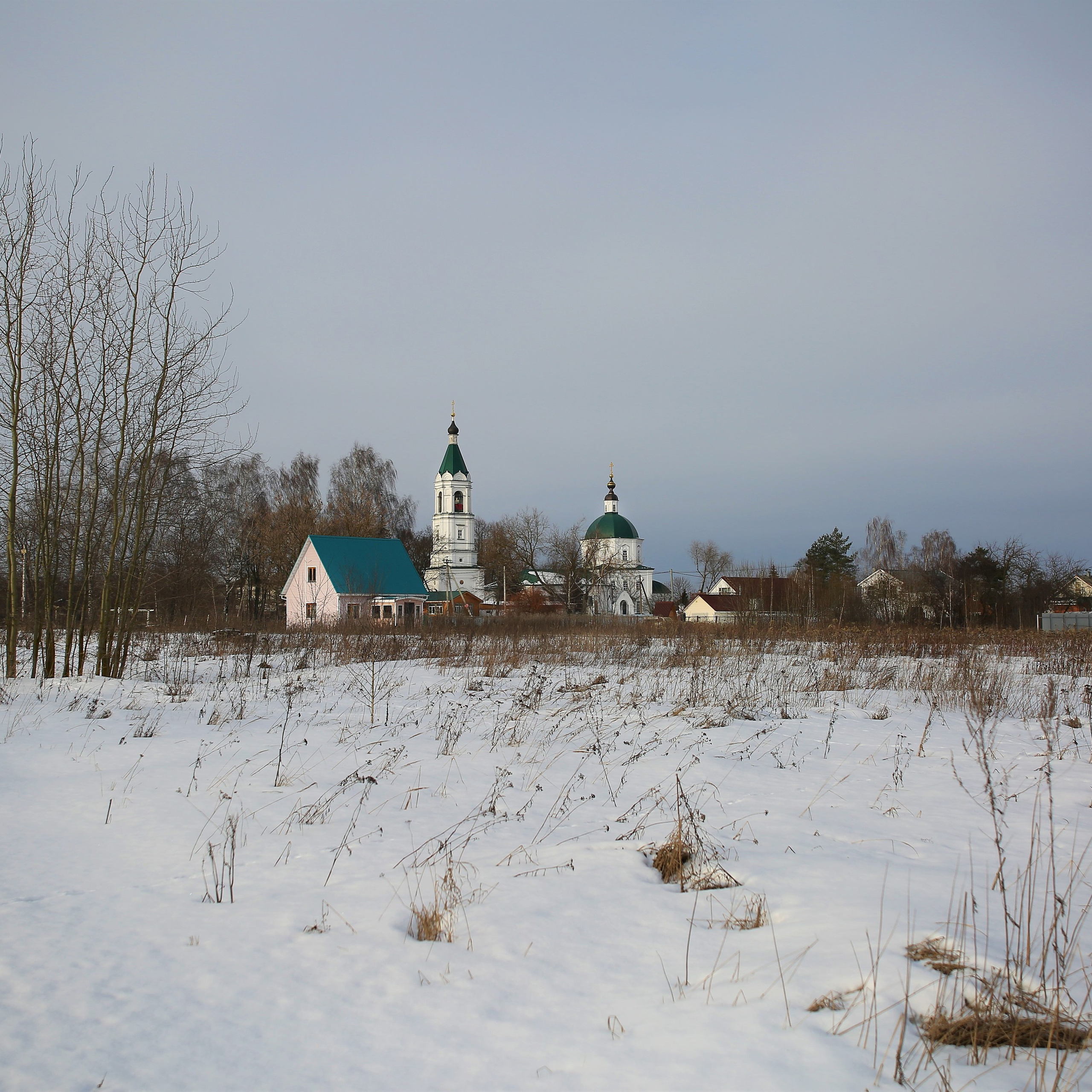 Отзывы. Семейный фотограф в г. Воскресенск Наталия Молева