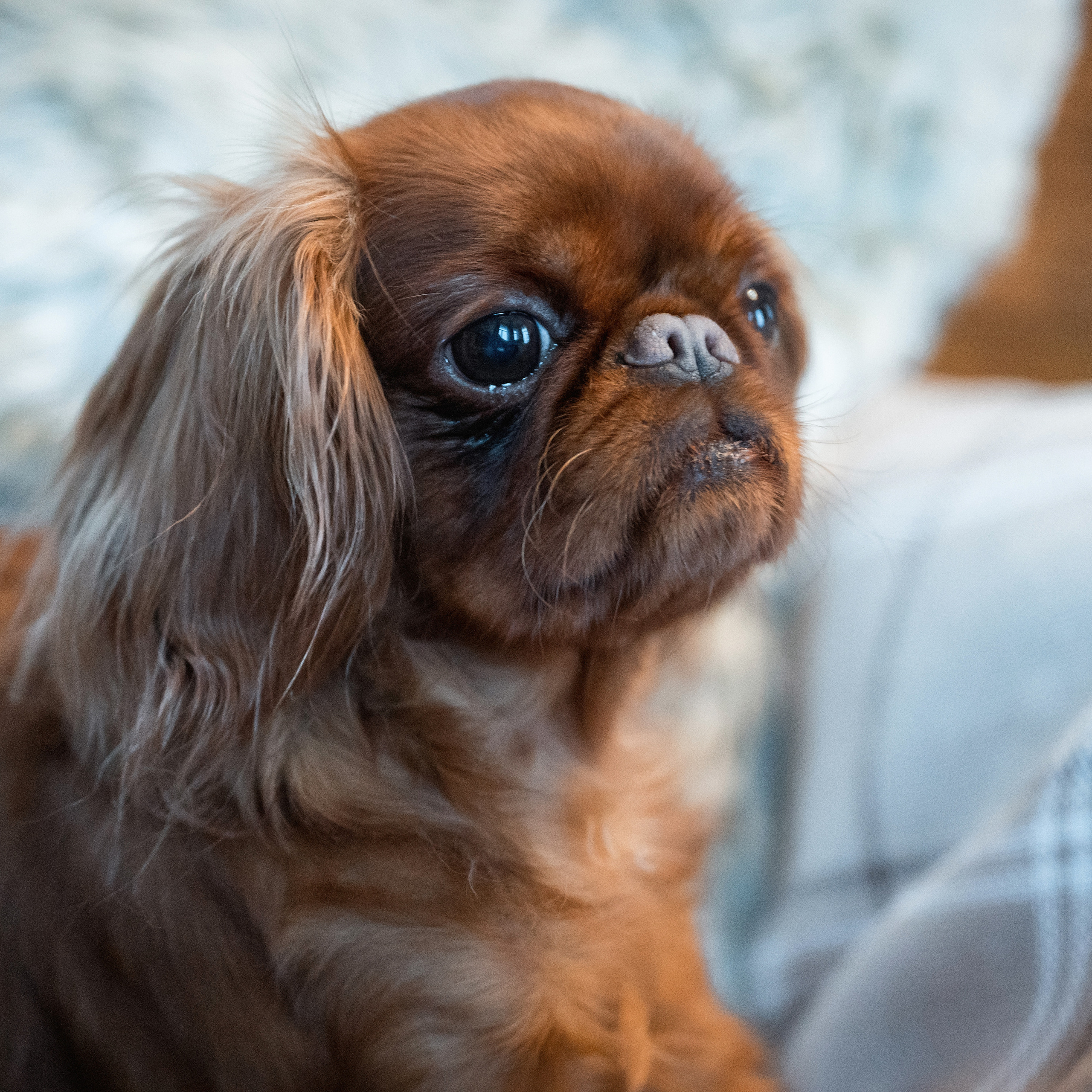 Отзывы. Семейный фотограф в г. Воскресенск Наталия Молева
