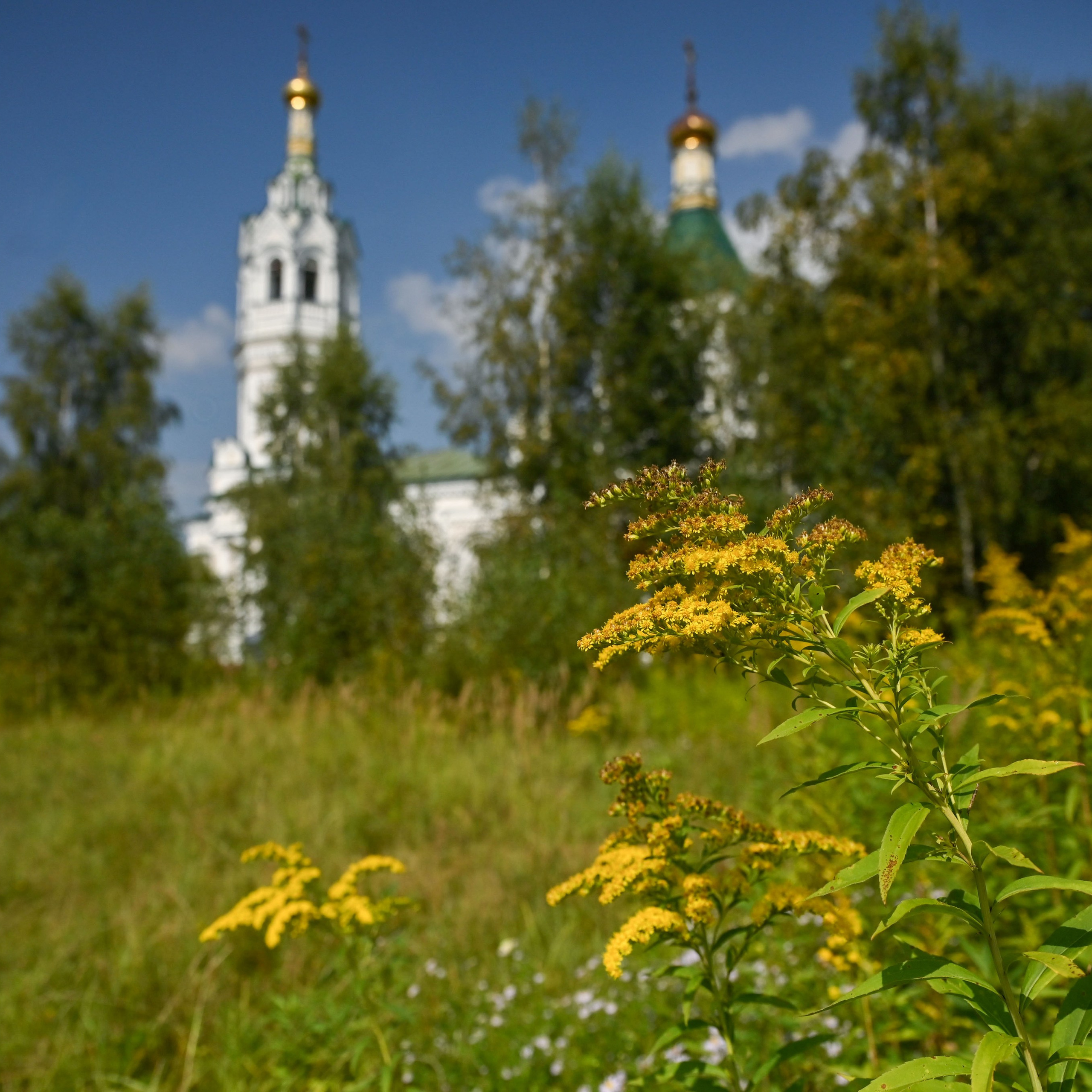 Успение Пресвятой Богородицы с. Ванилово